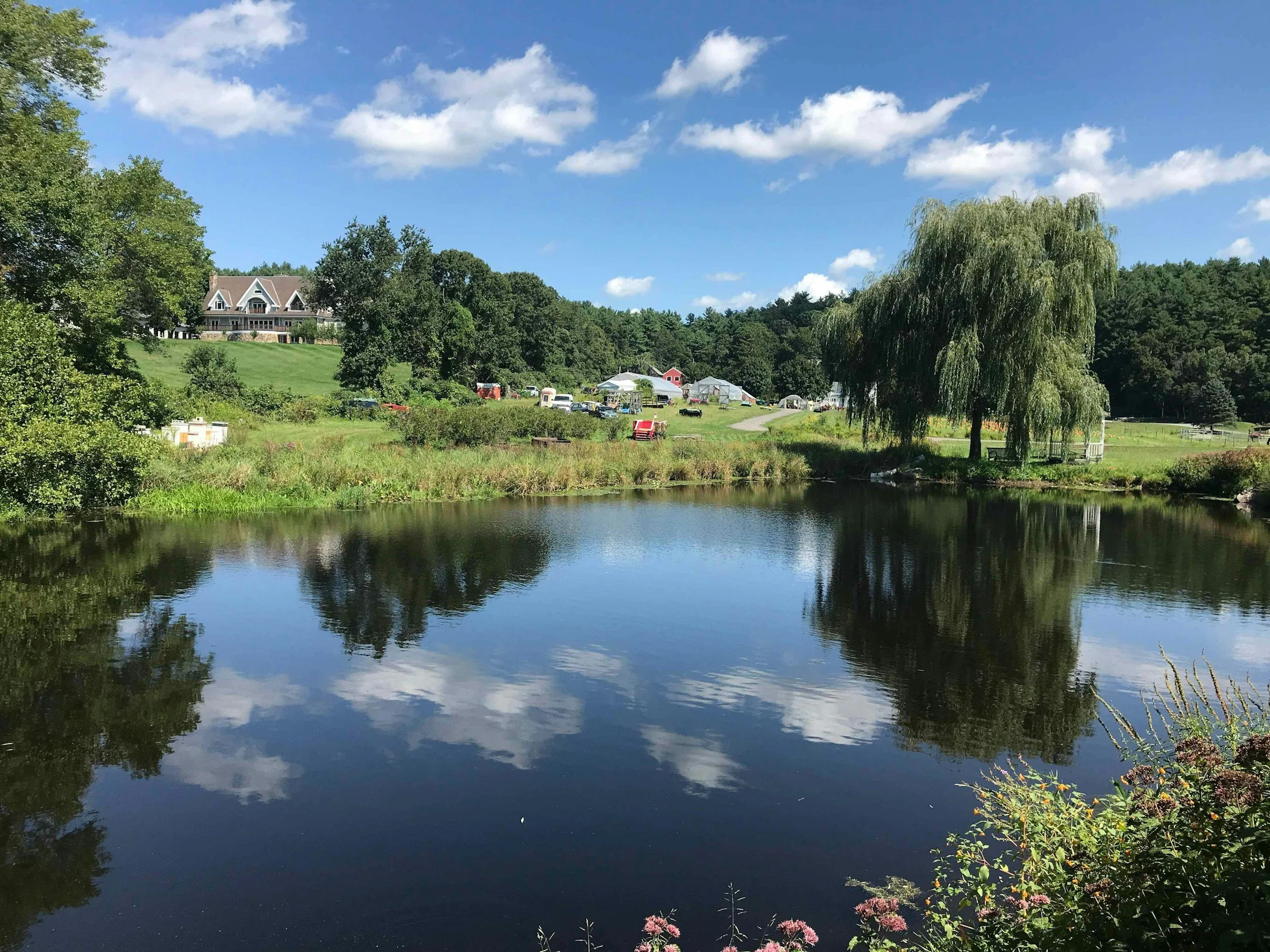 Making Friends in Framingham: A Local Woman's Complete Guide