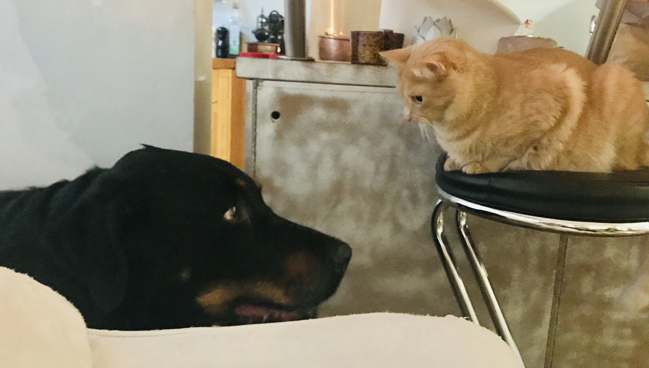 The Dance of Closeness and Space: An Anxious–Avoidant Love Story