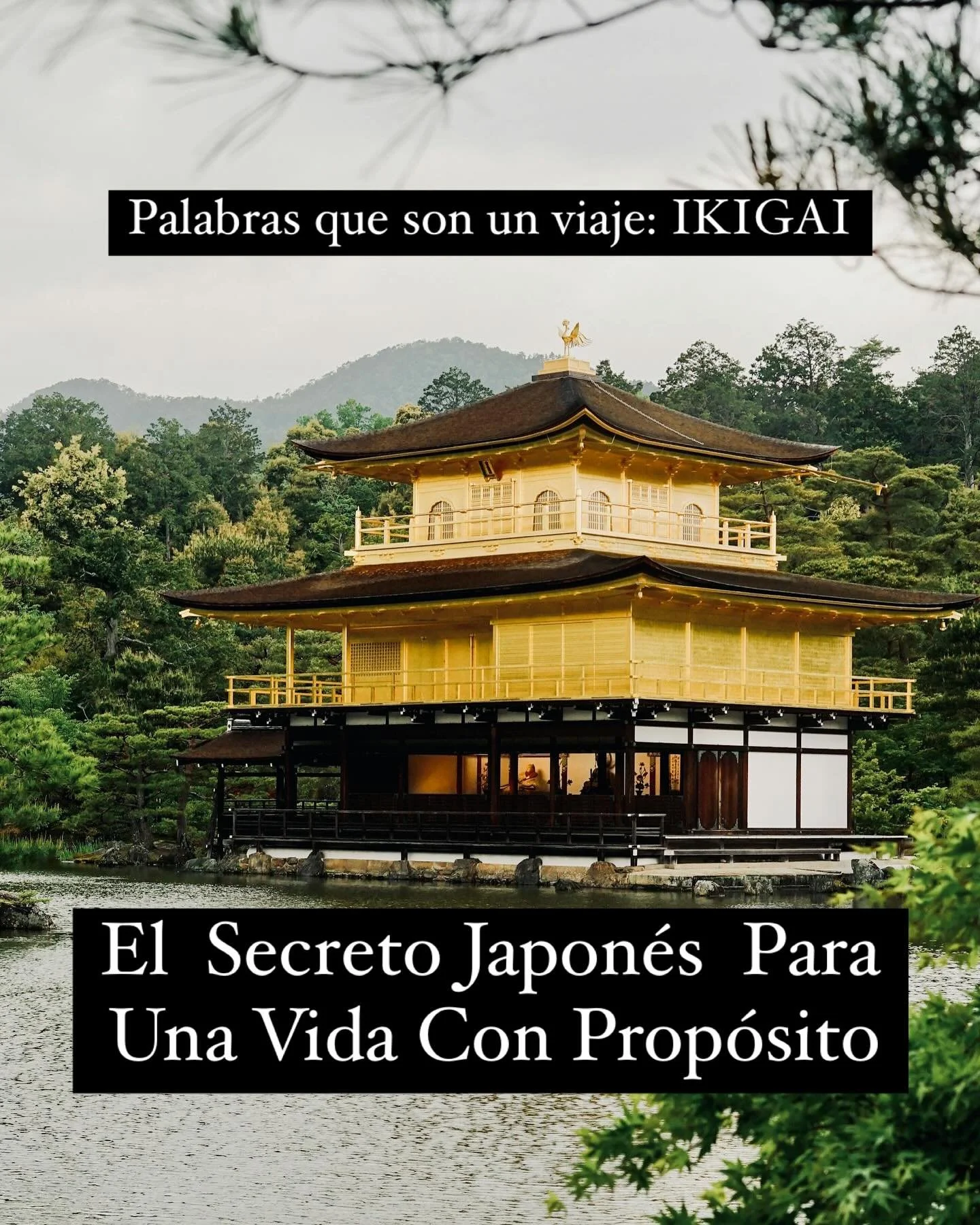 Hay palabras en otros idiomas que son un viaje en s&iacute; mismas. No tienen una traducci&oacute;n exacta, porque contienen toda una filosof&iacute;a de vida.

Una de nuestras favoritas es &ldquo;Ikigai&rdquo; (生き甲斐), un concepto japon&eacute;s que 