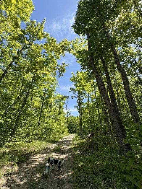Blessings From the North Woods