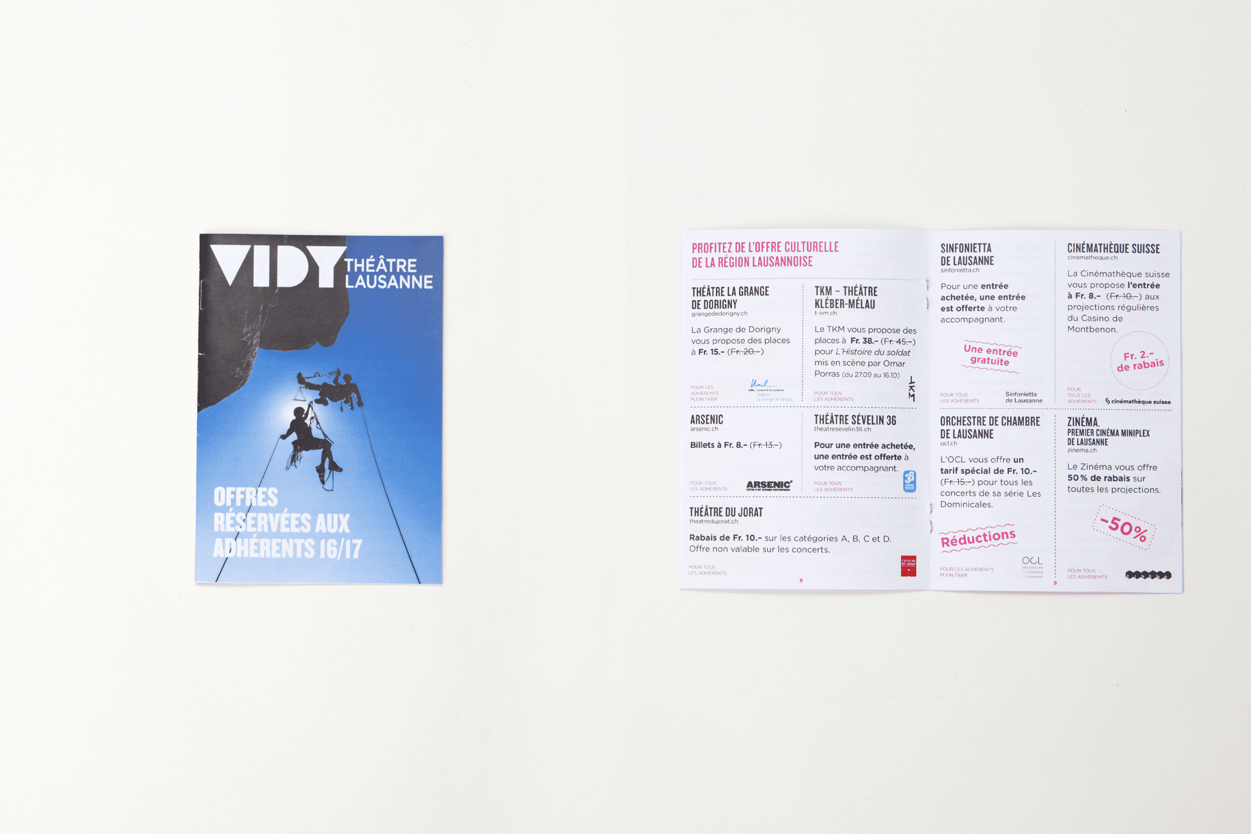 vidy_19.png