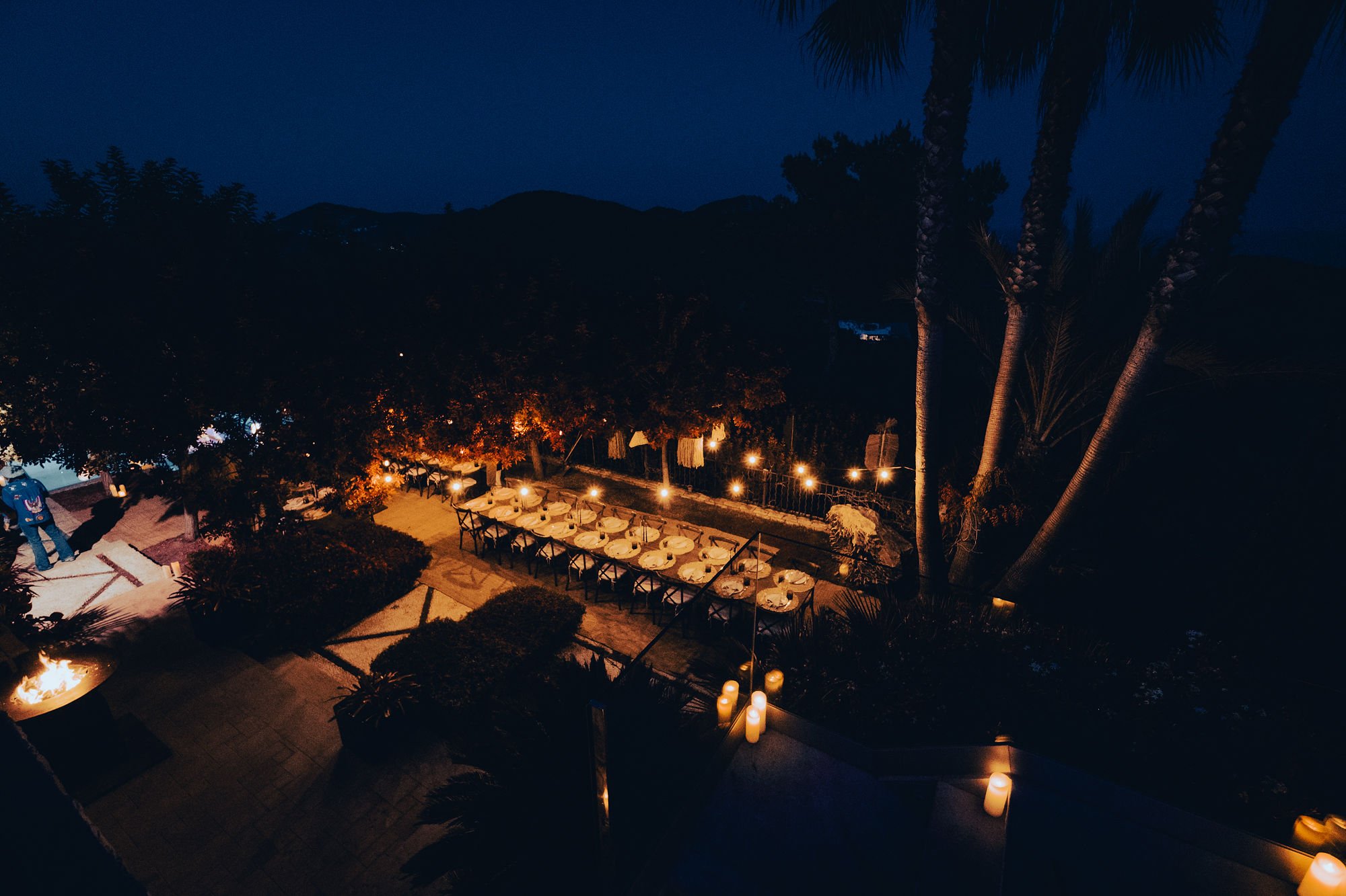 Quantum Jungle_table view.jpg