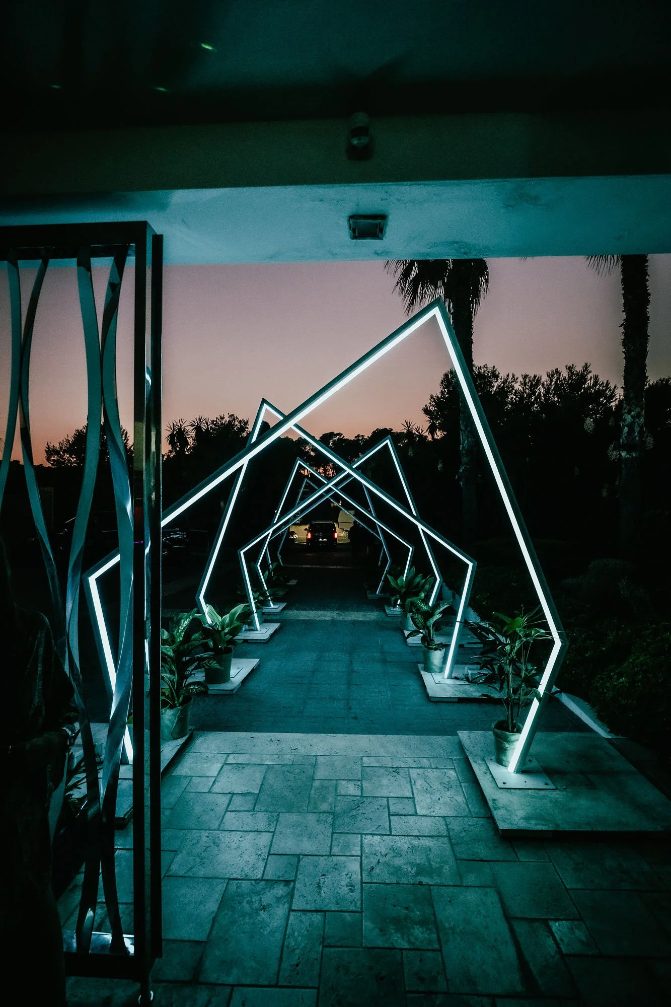 Quantum Jungle_portal.jpg