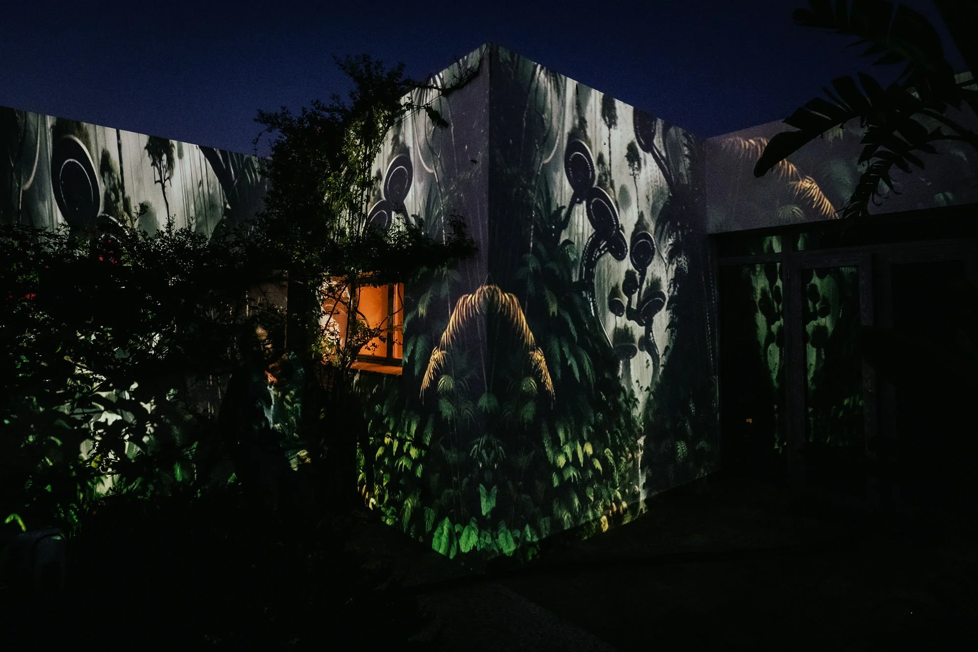 Quantum Jungle_projection.jpg