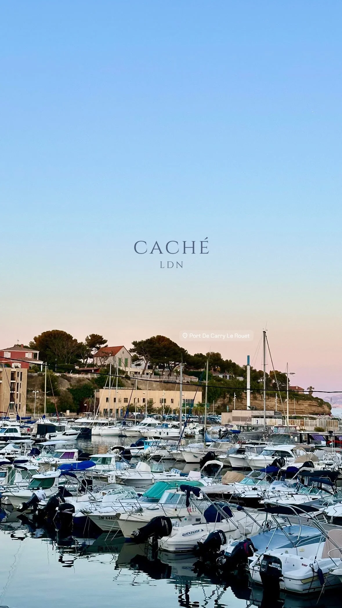 Harbor with numerous boats docked, hillside houses, and trees under a light sky.