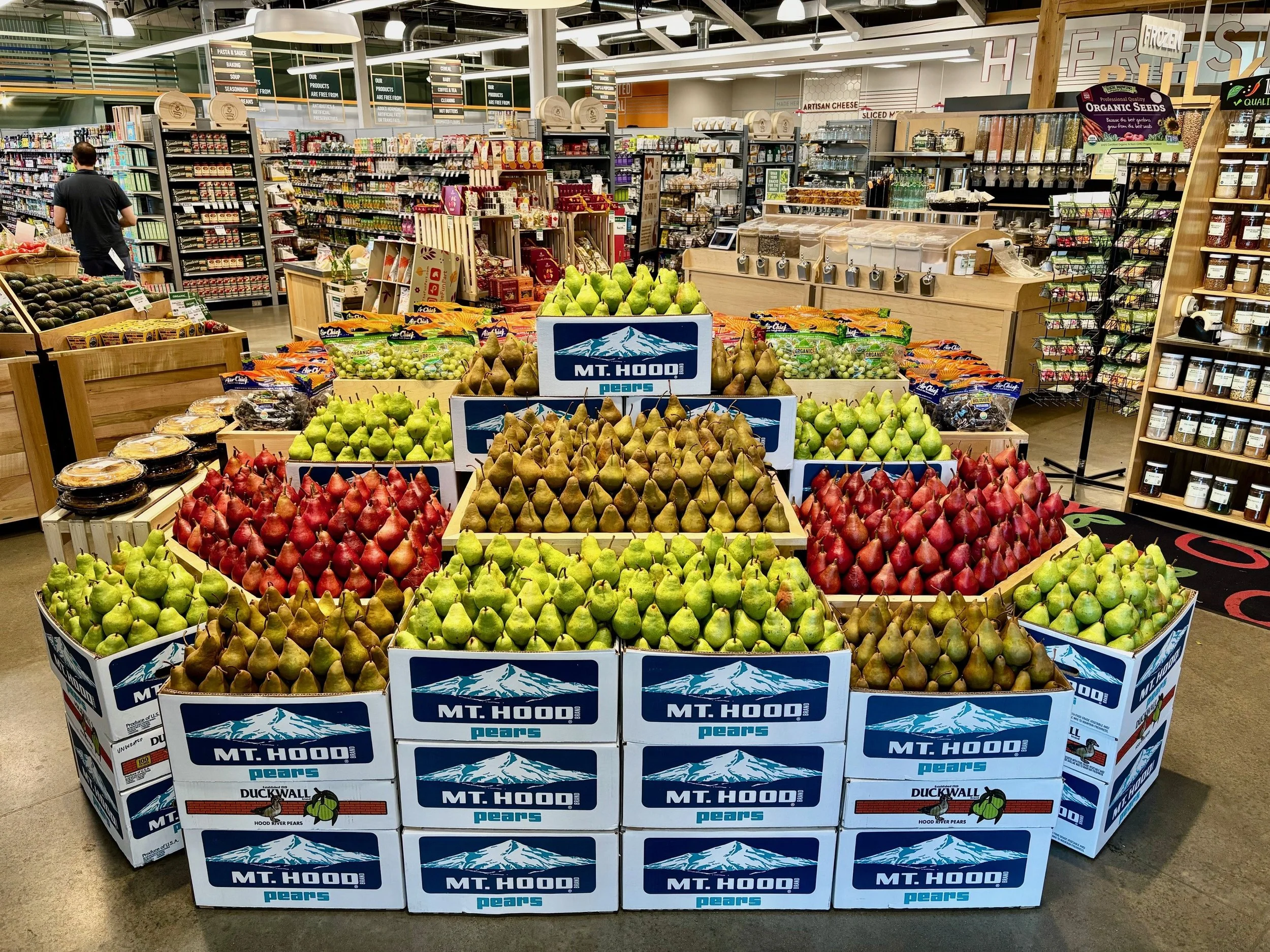 Mt Hood Duckwall Pears Sept 2024.jpg