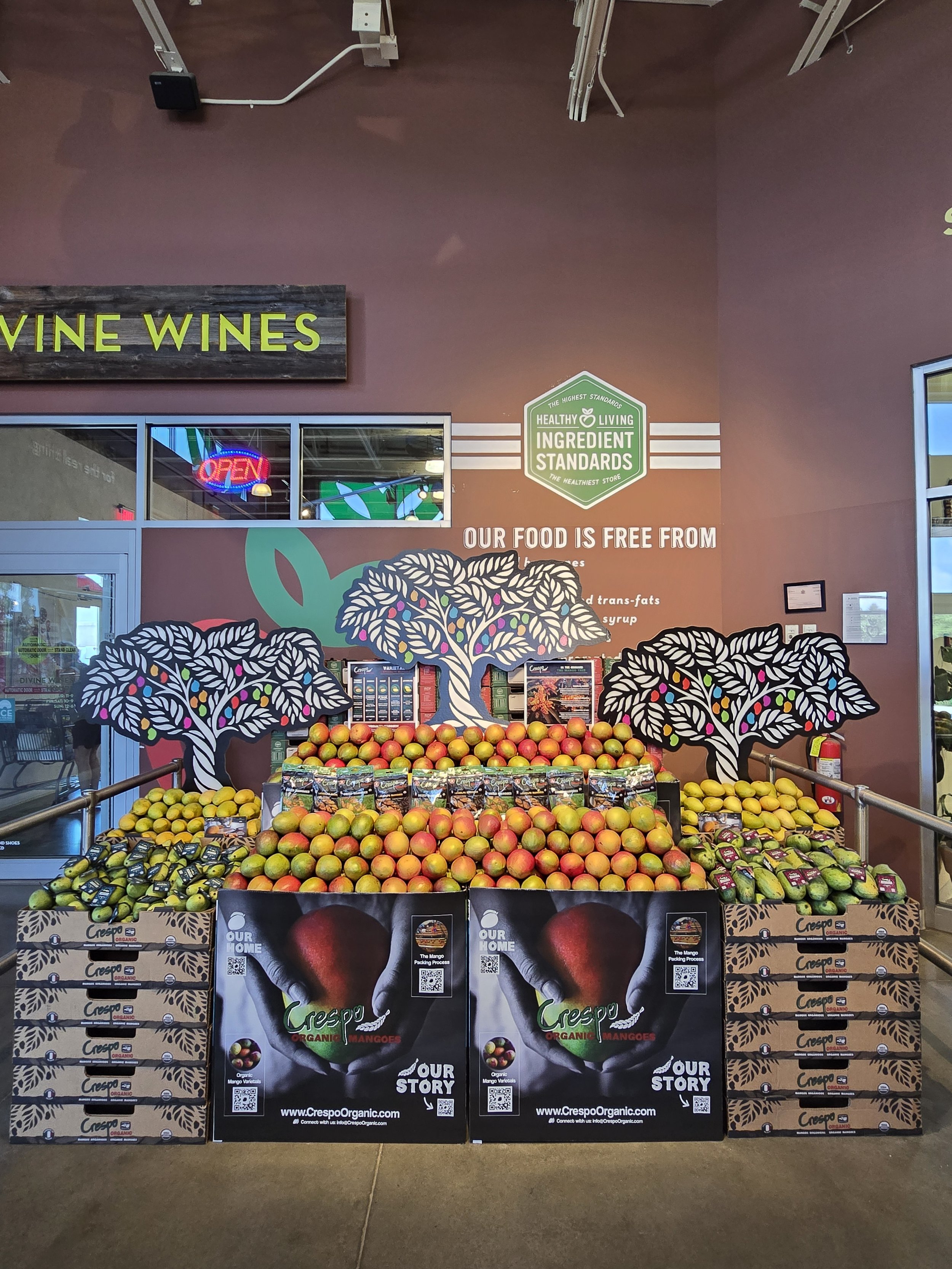 HL NY Mango--Medium.jpg