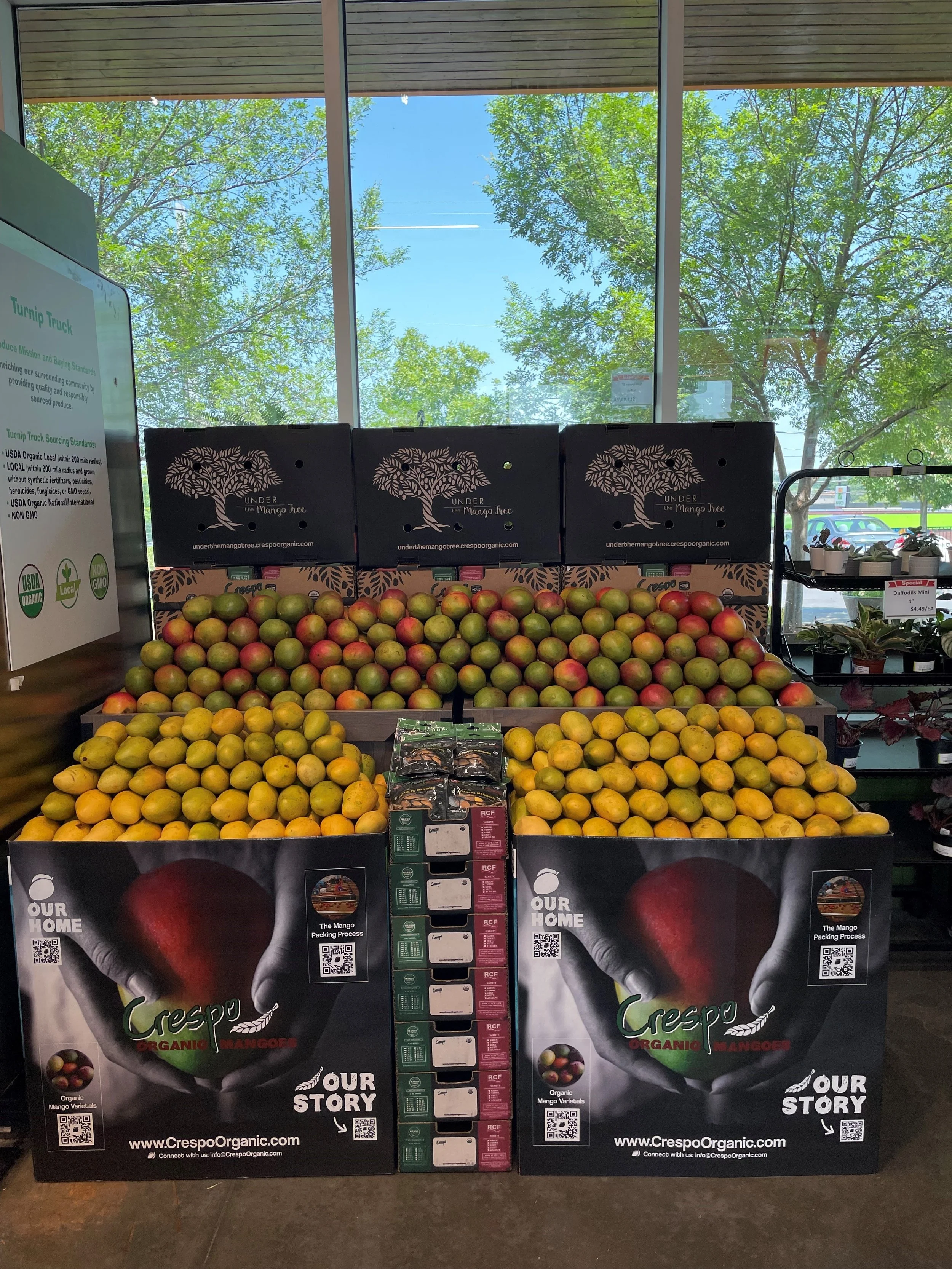 Turnip Truck East Crespo.jpg