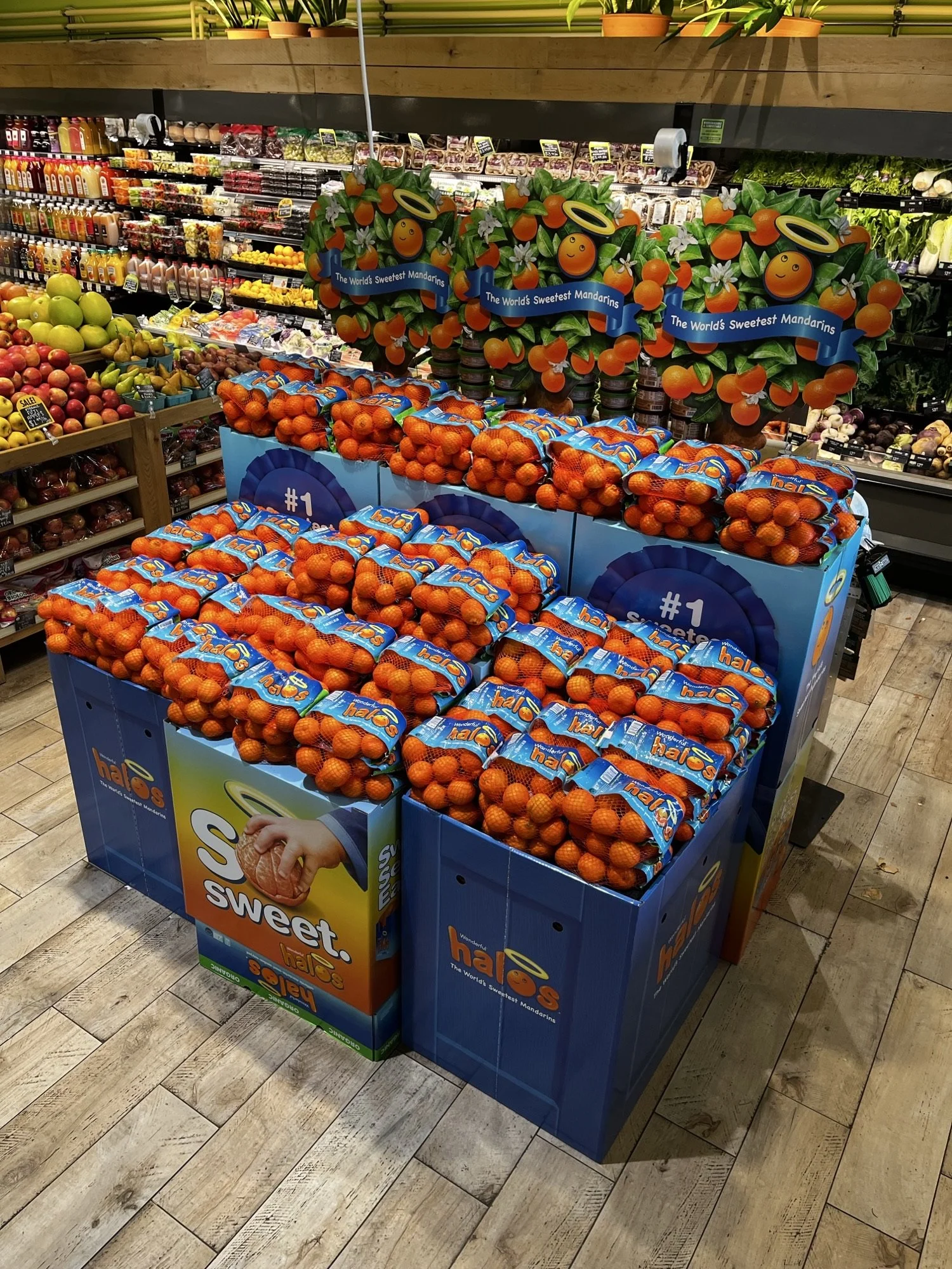 Independent Retail Halos display build.jpeg