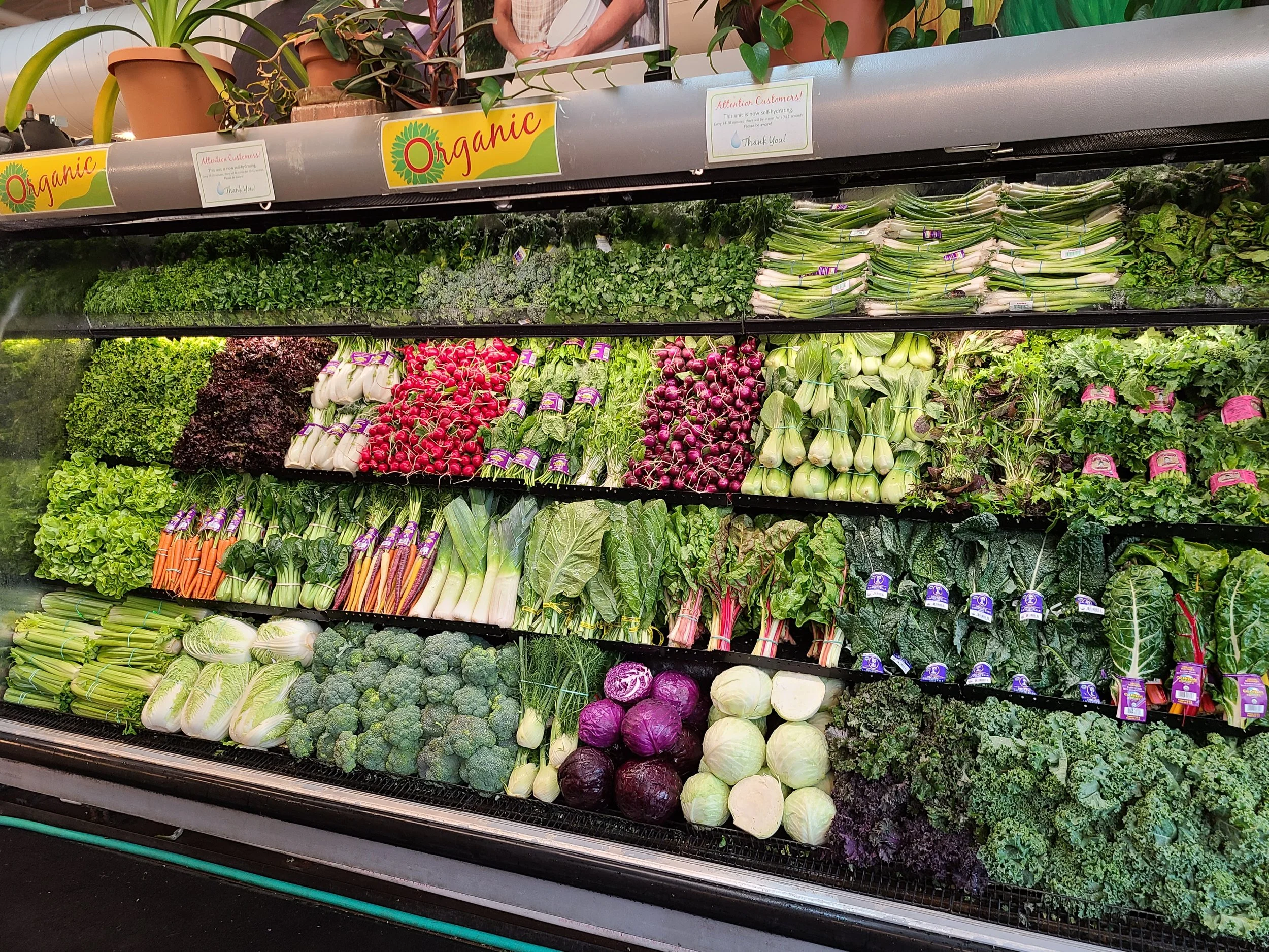 12 Foot Slantback Wet Rack.jpg