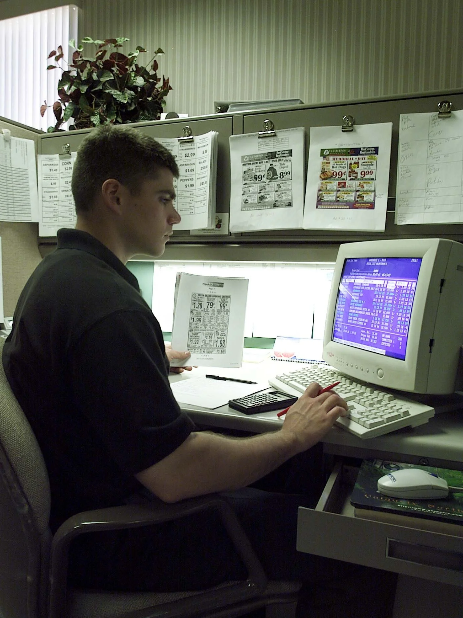 manatcomp1 May 2001 1.jpg