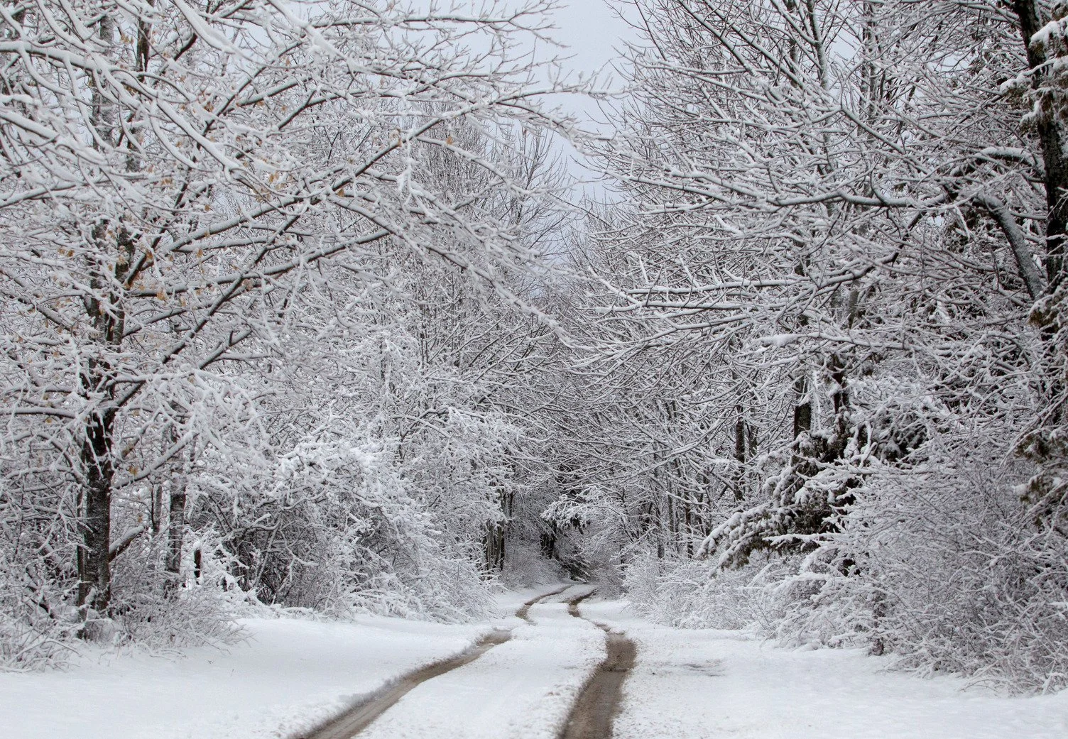 Ready to Support Kawartha Lakes in Wake of Ice Storm
