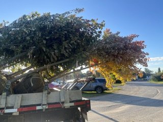 IMG_2194.jpeg