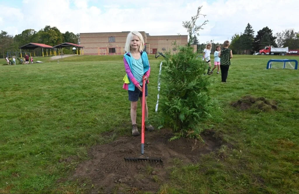 plant24.jpg