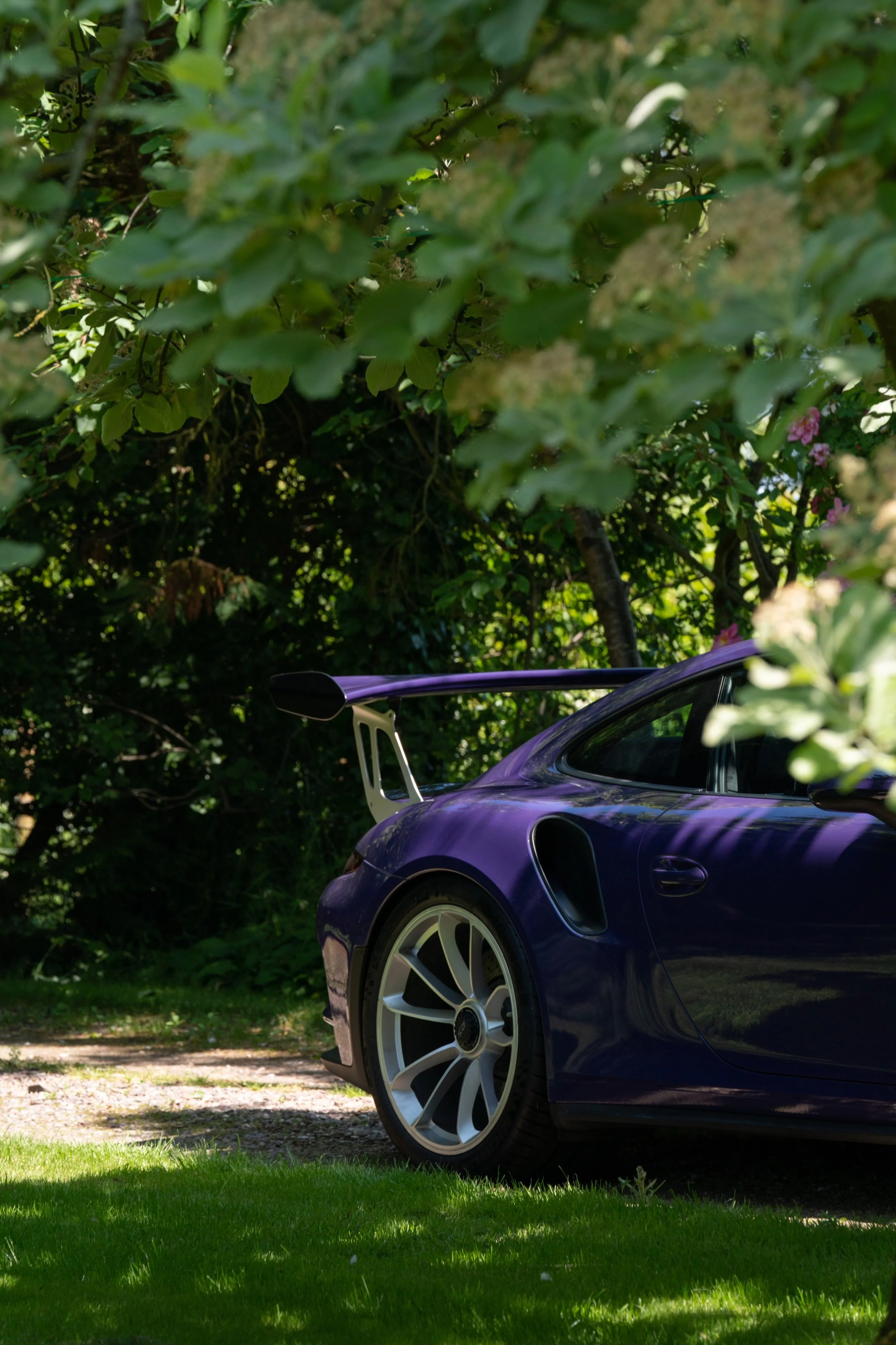 Part of a purple sports car with a prominent rear spoiler, visible wheel, and side air intake, parked on a grassy area with leafy green trees in the background.