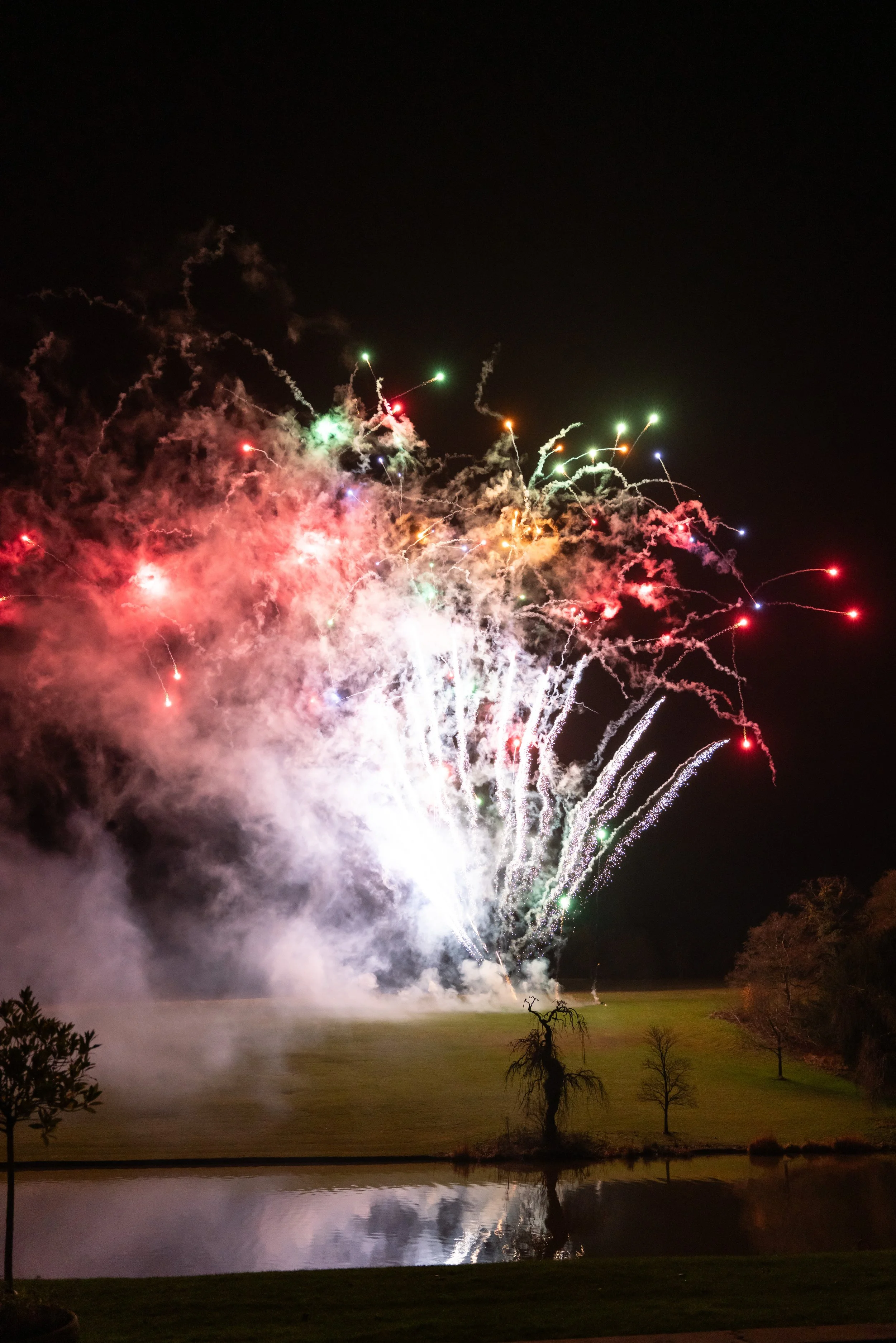 Colorful fireworks exploding in the night sky over a grassy area with a small pond, trees, and a single leafless tree in the foreground.