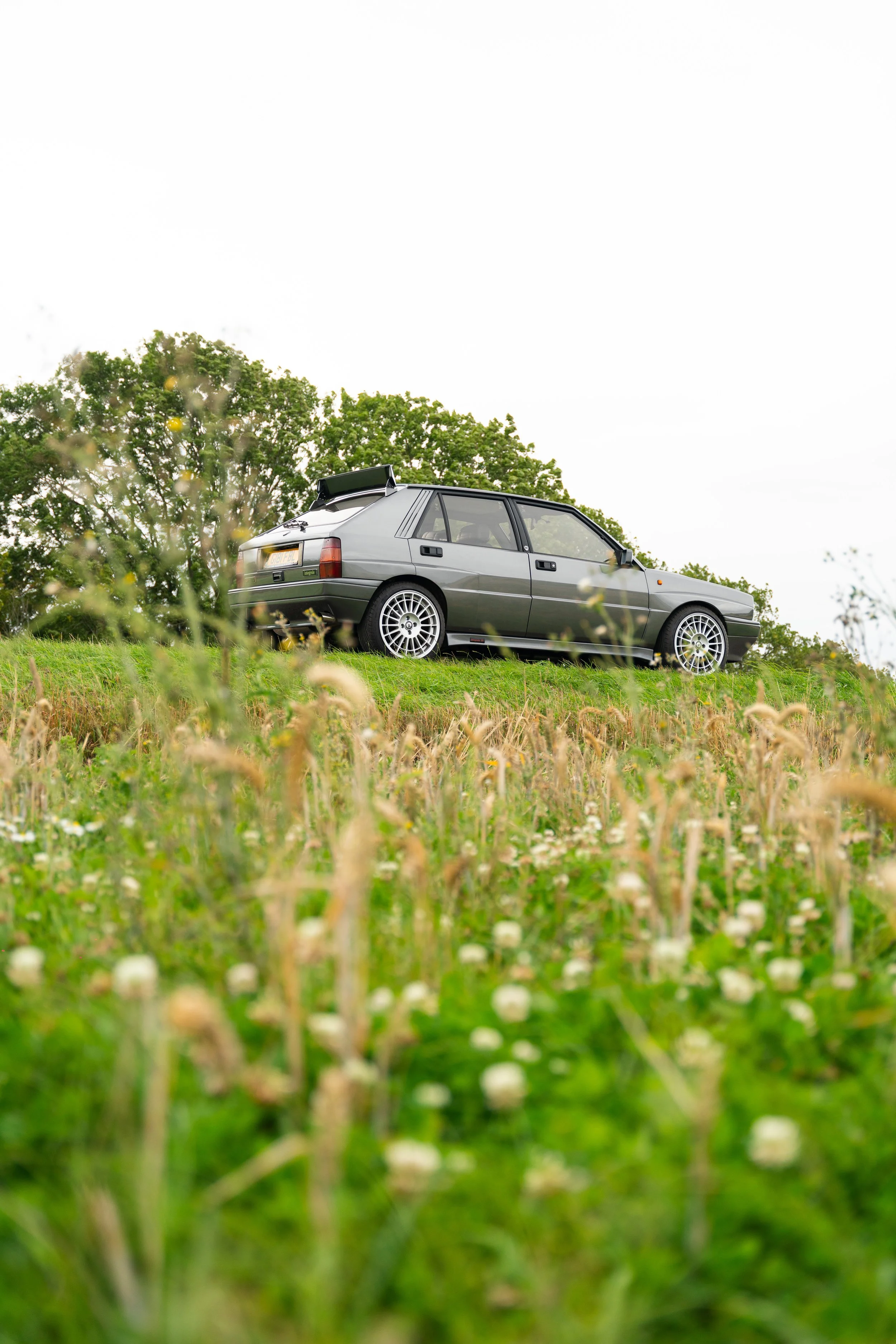 A gray hatchback car parked on a grassy hilltop with trees in the background overcast sky.