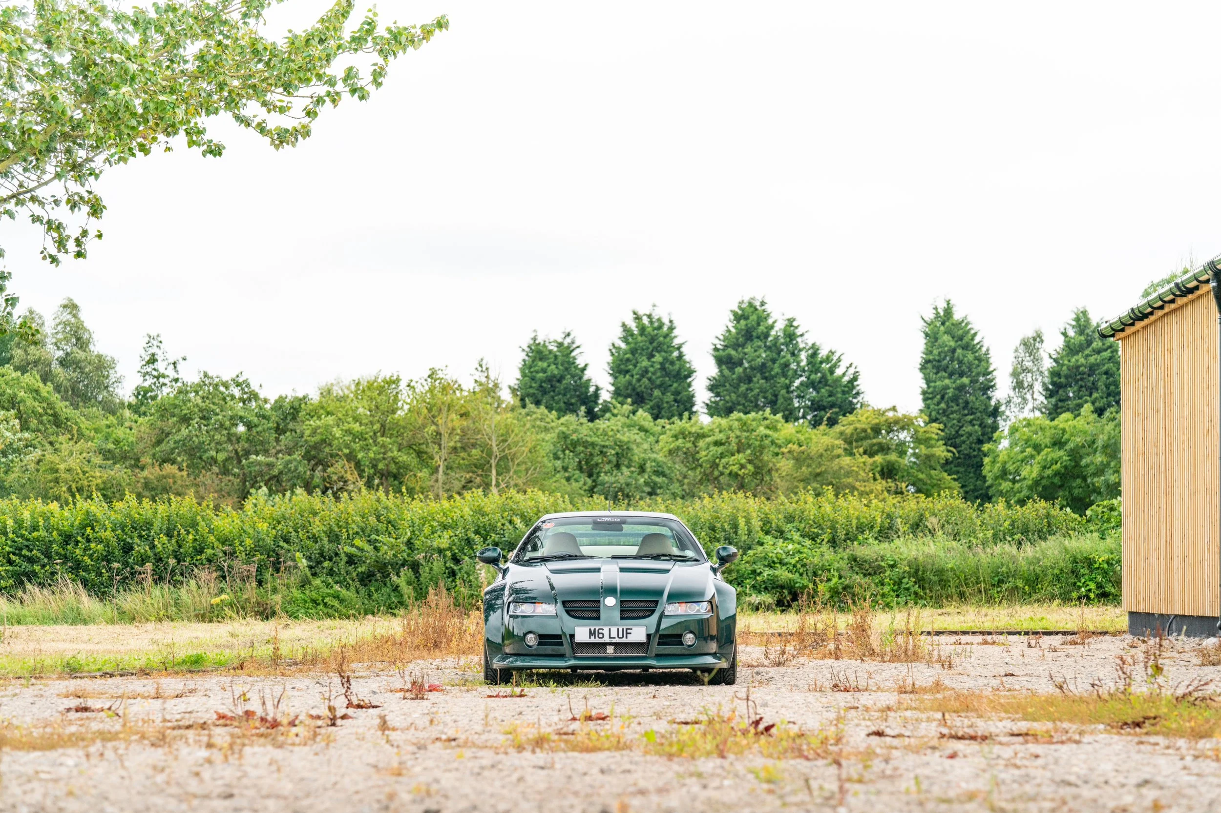 A black sports car parked on a gravel area with green trees and bushes in the background, overcast sky.