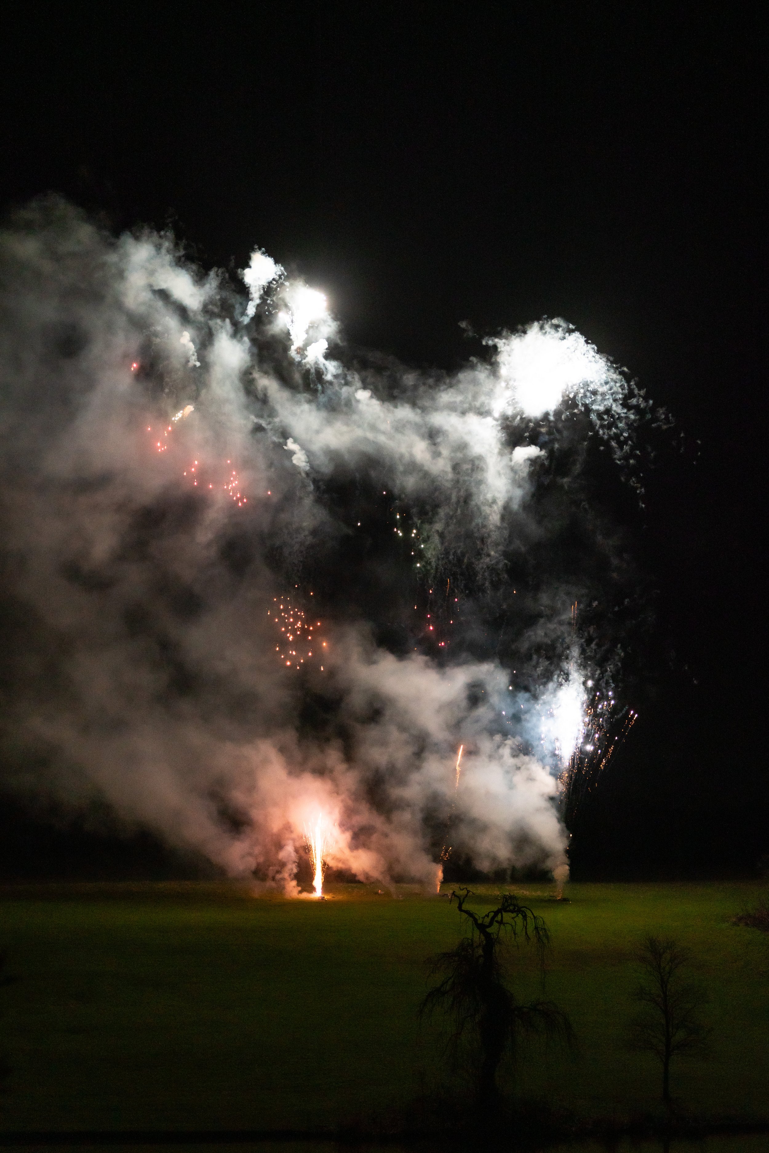 Nighttime fireworks exploding in the sky above a grassy field with a leafless tree in the foreground