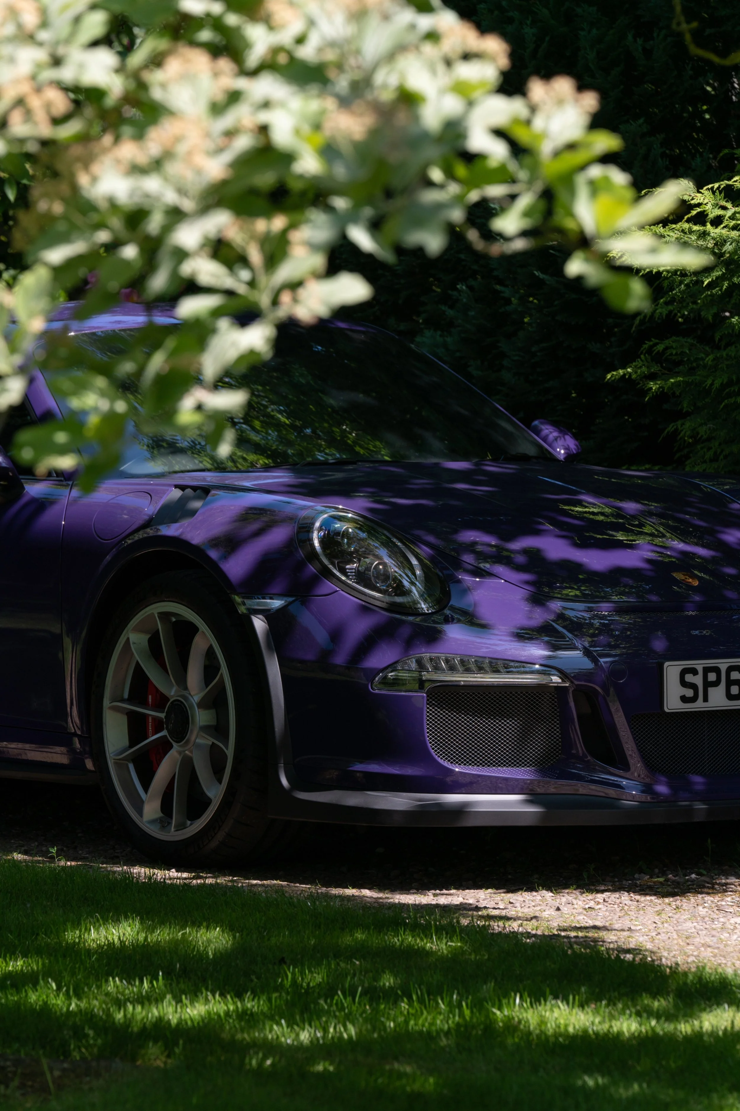 A purple sports car partially hidden behind tree leaves and shadows, parked on a grassy area with trees in the background.