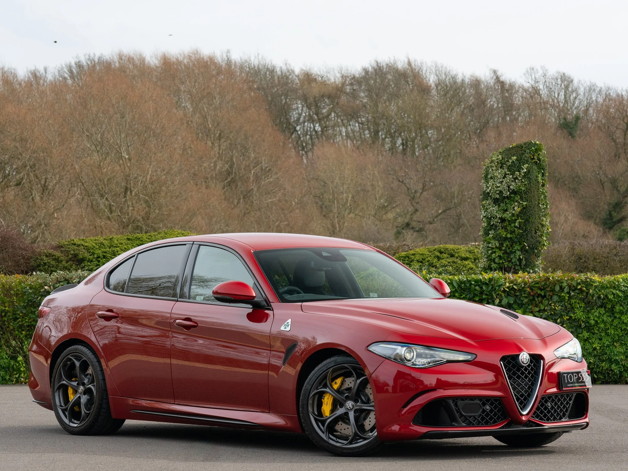 Red Alfa Romeo sports sedan parked outdoors with trees and bushes in the background.