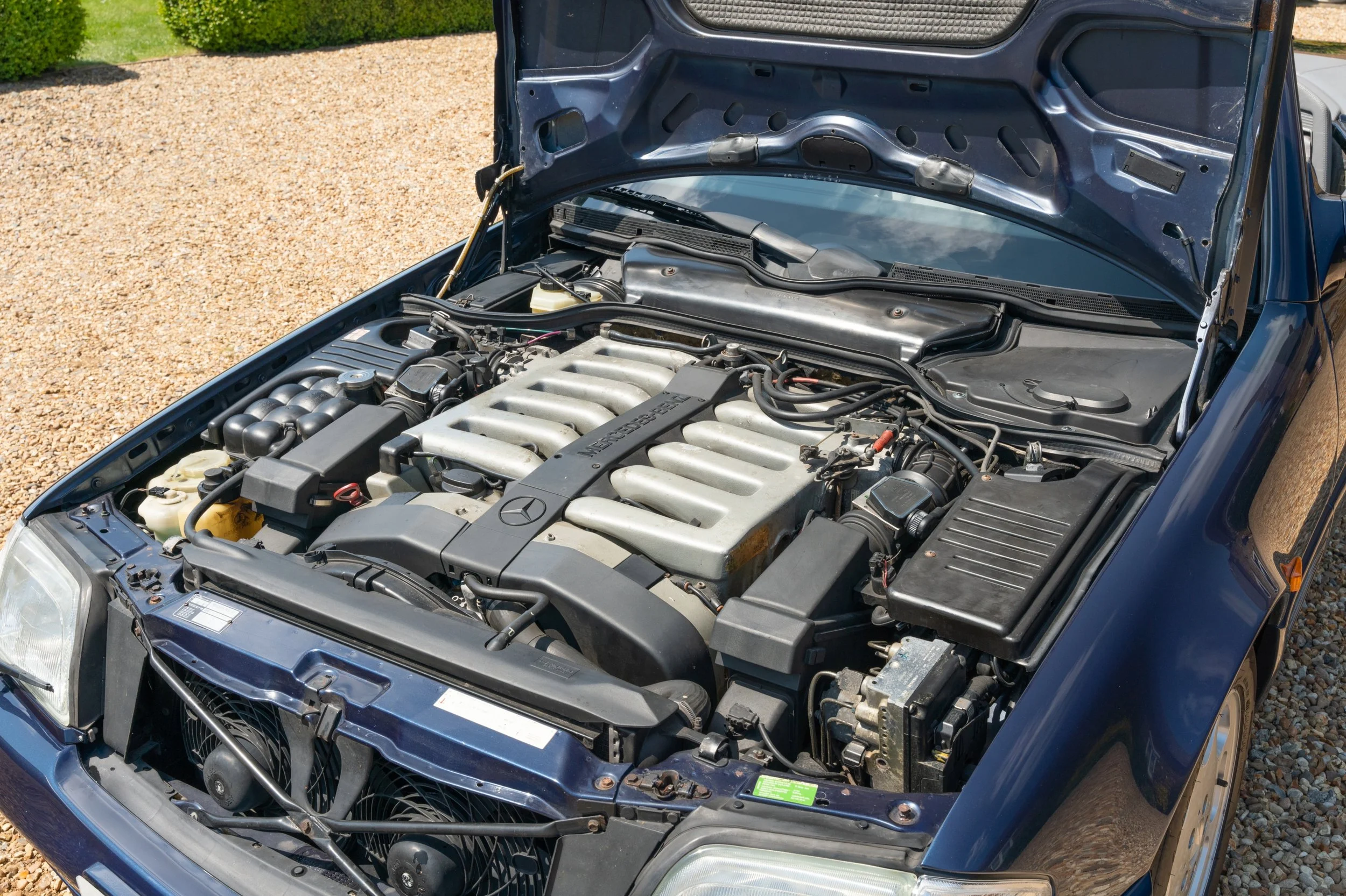 Open hood of a classic Mercedes-Benz car revealing the engine bay with a V8 engine.