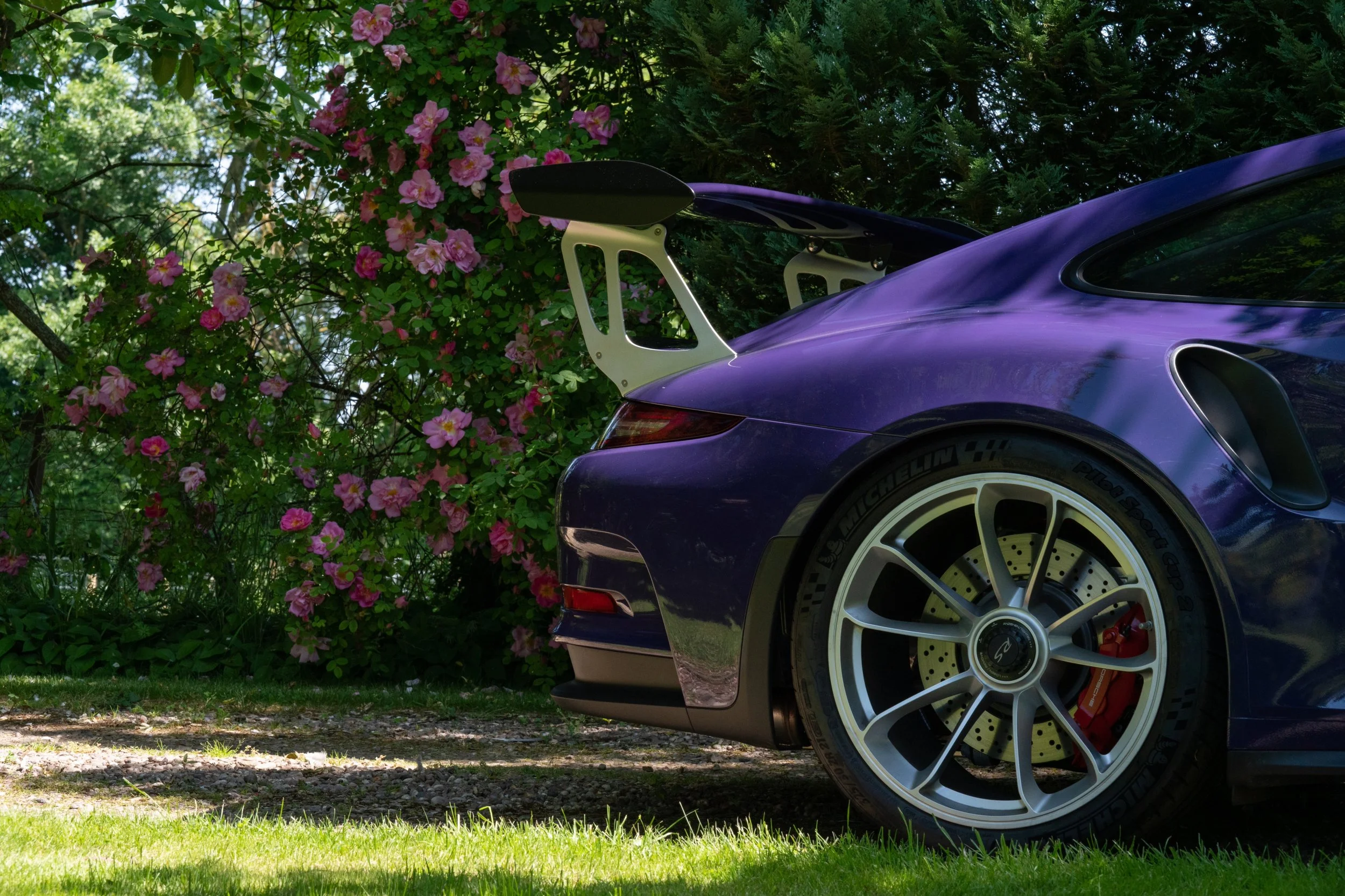 A purple sports car with a rear spoiler parked on grass near flowering bushes and trees.