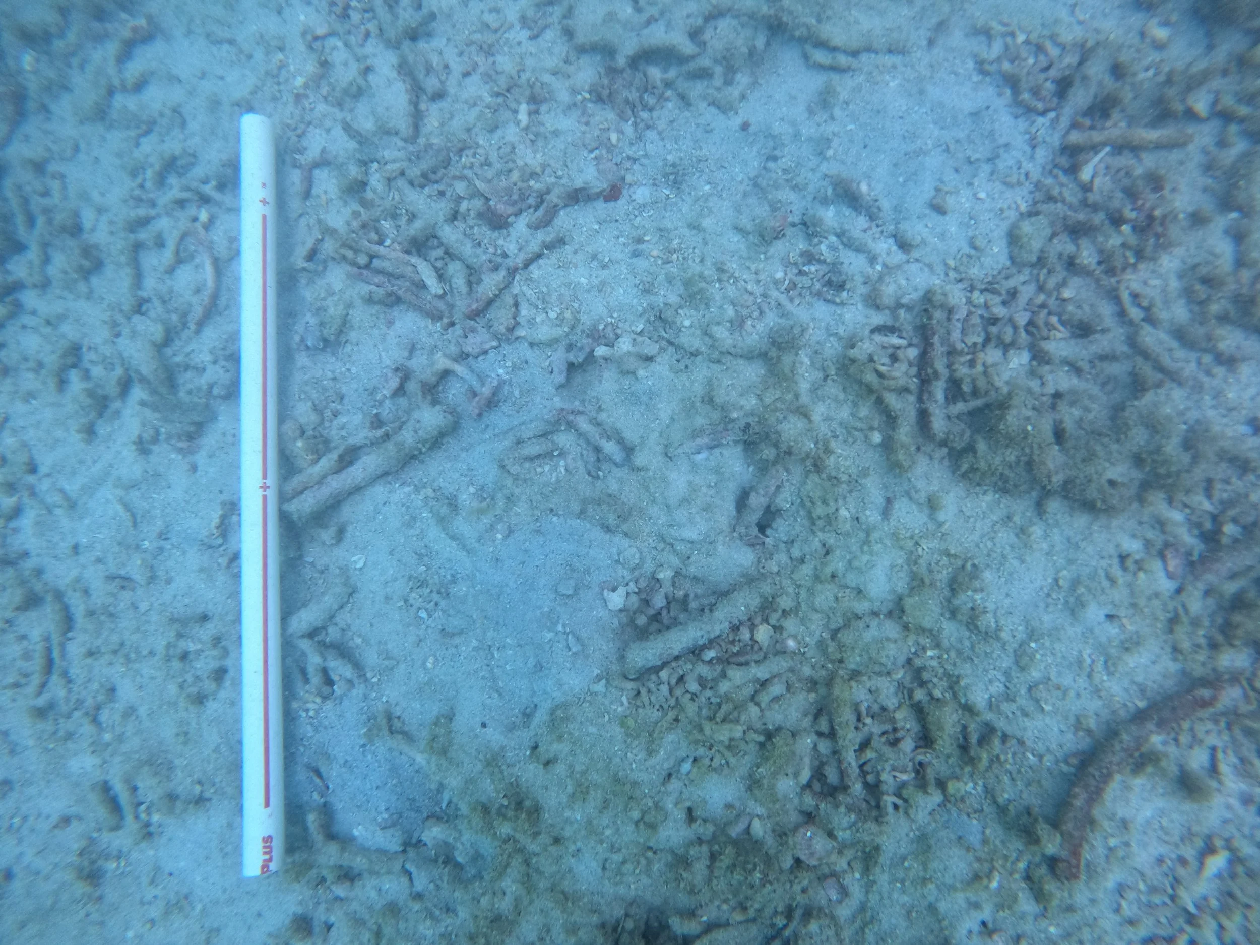 GOPR4180.JPG