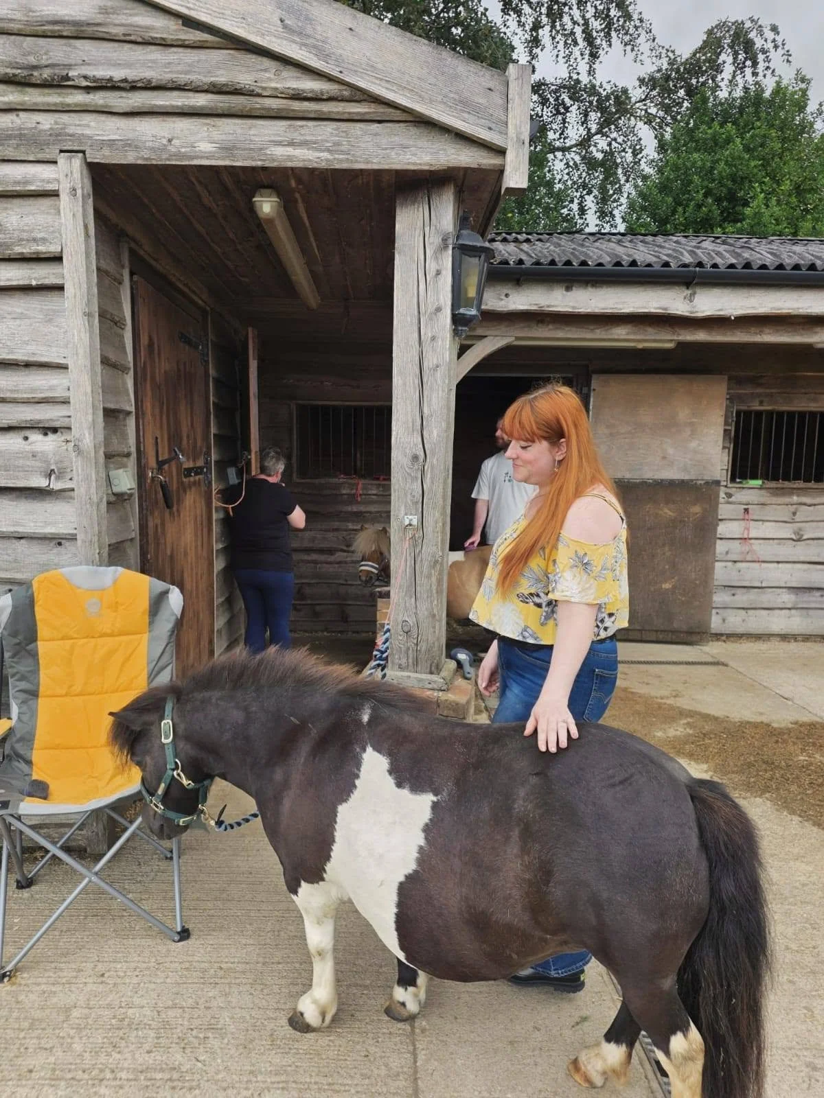 Miniature-shetand-pony-experience-peak-district..jpeg