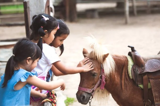 Pony Parties