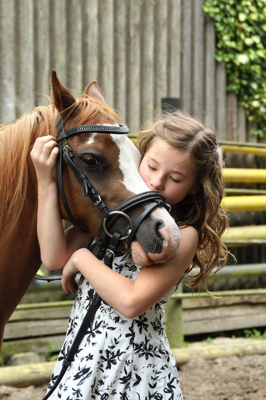 Family Pony Walks