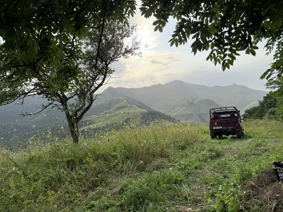 View from Democracy Journey dinner in Dilijan, Armenia