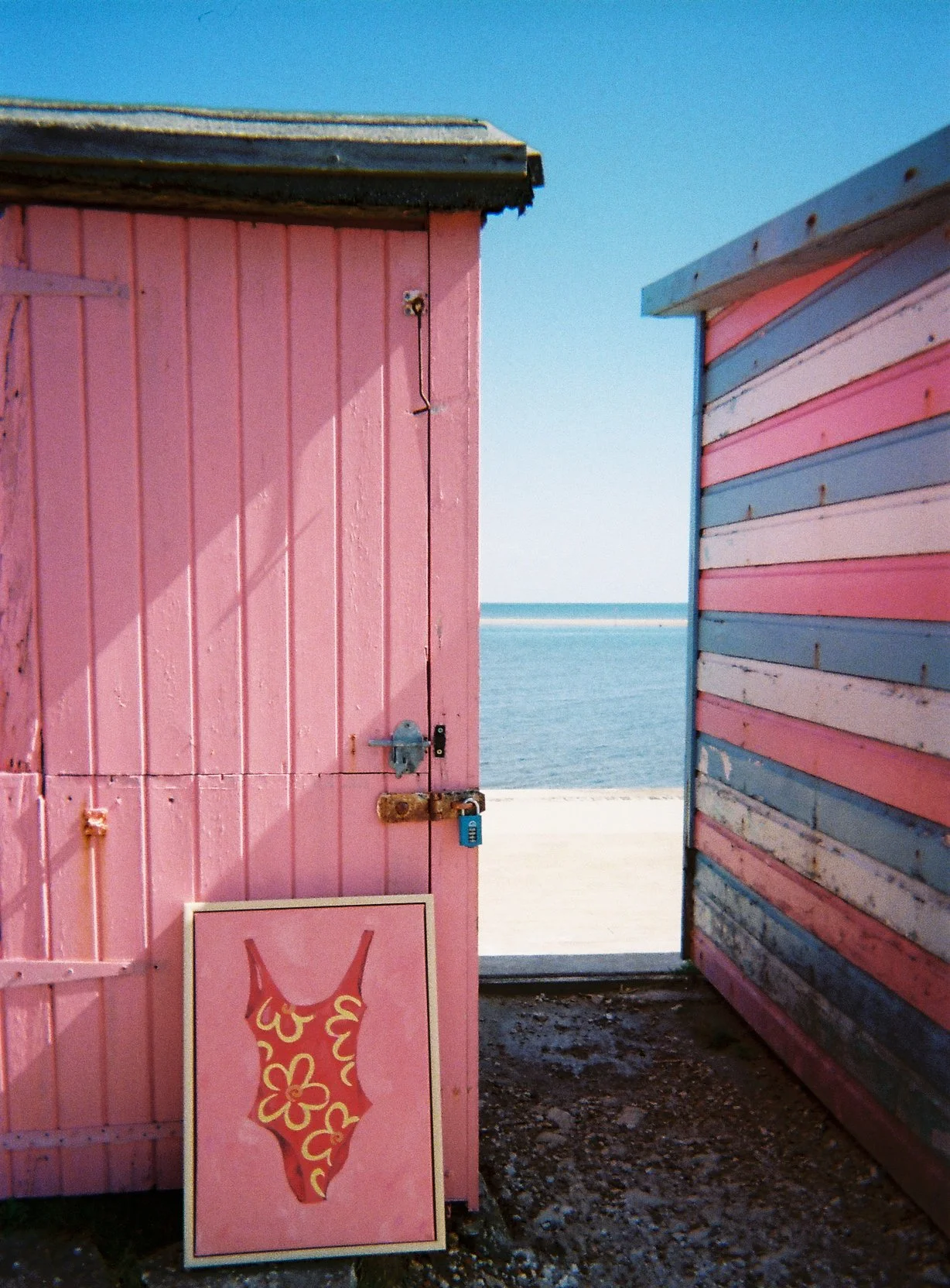 Bathing daisies.jpg