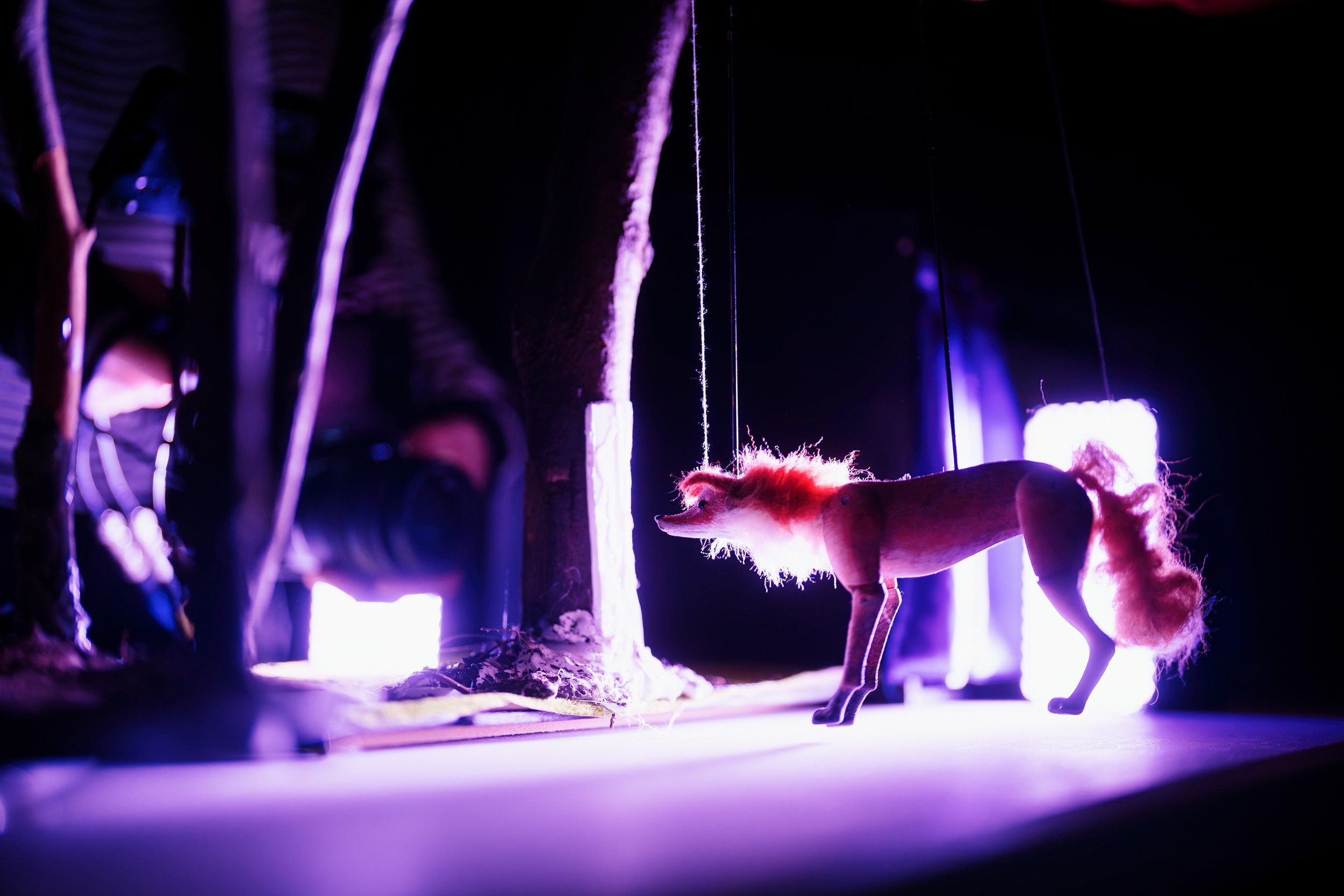 Copy of BarkBark@Summerhall_(c)Alex Brenner__12_7892_dx_s.jpg