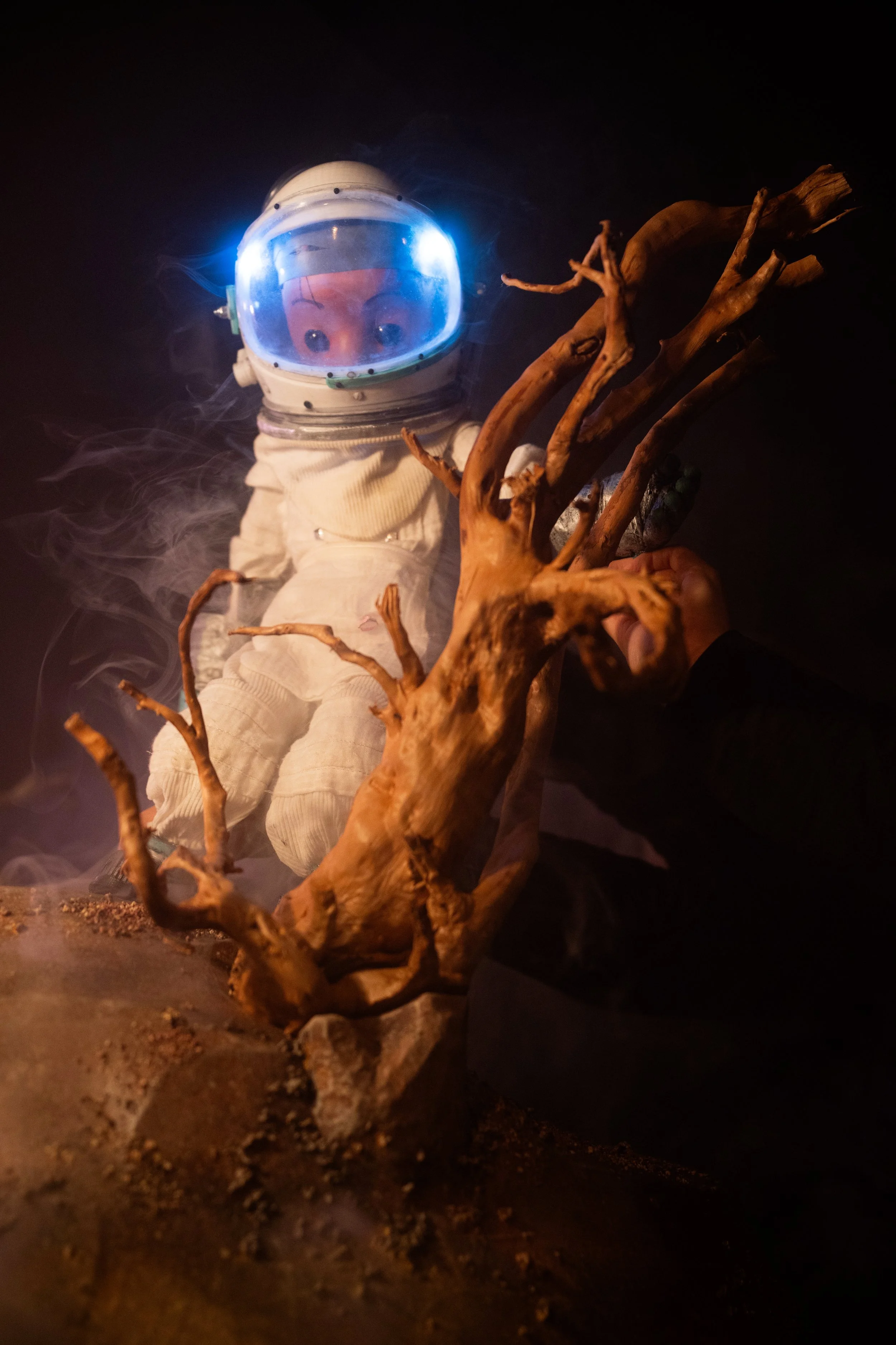 Tree Close. Portrait. Credit “Ben Wulf Photography%22.jpg