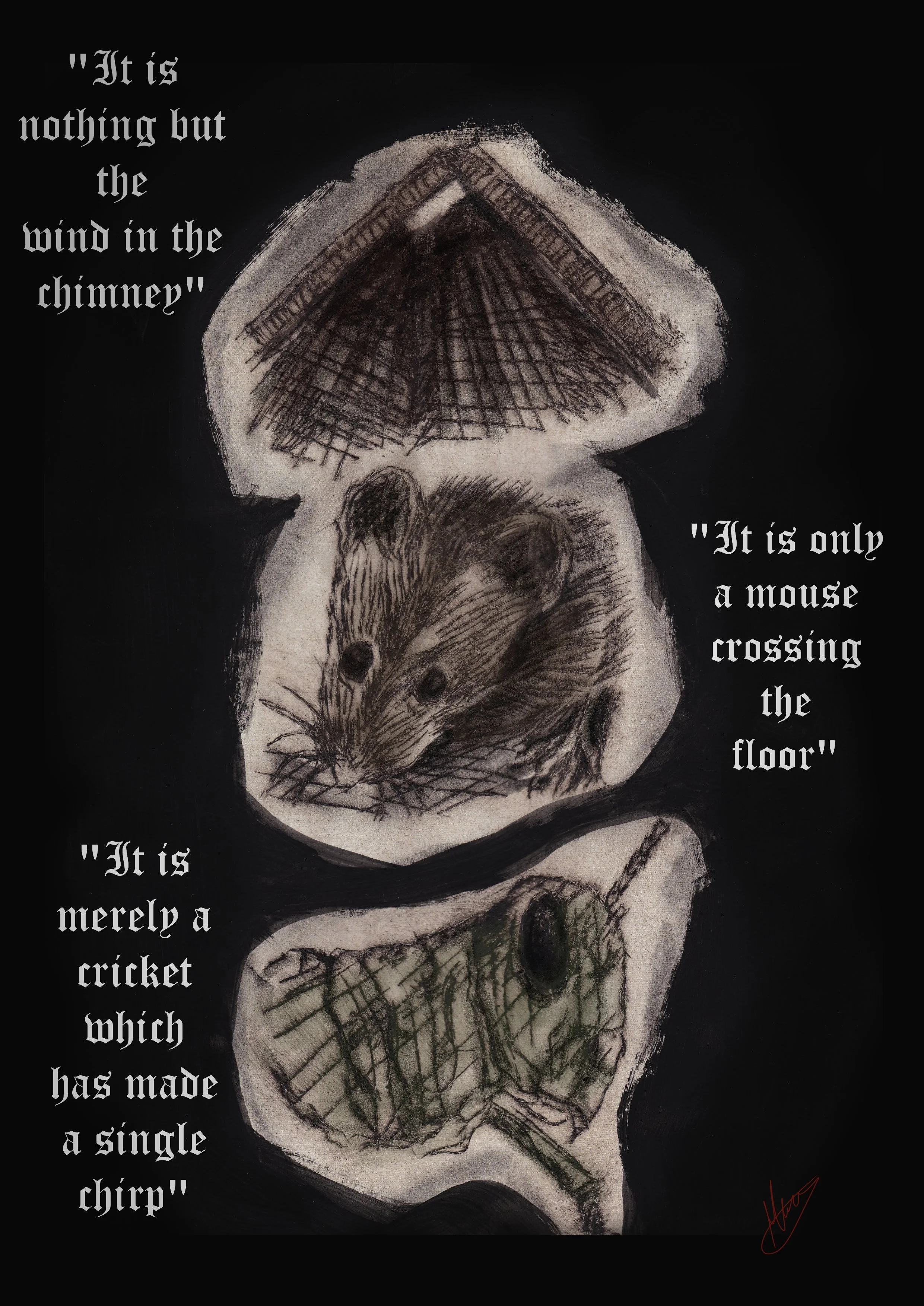 Chimney  mouse cricket 7.jpg