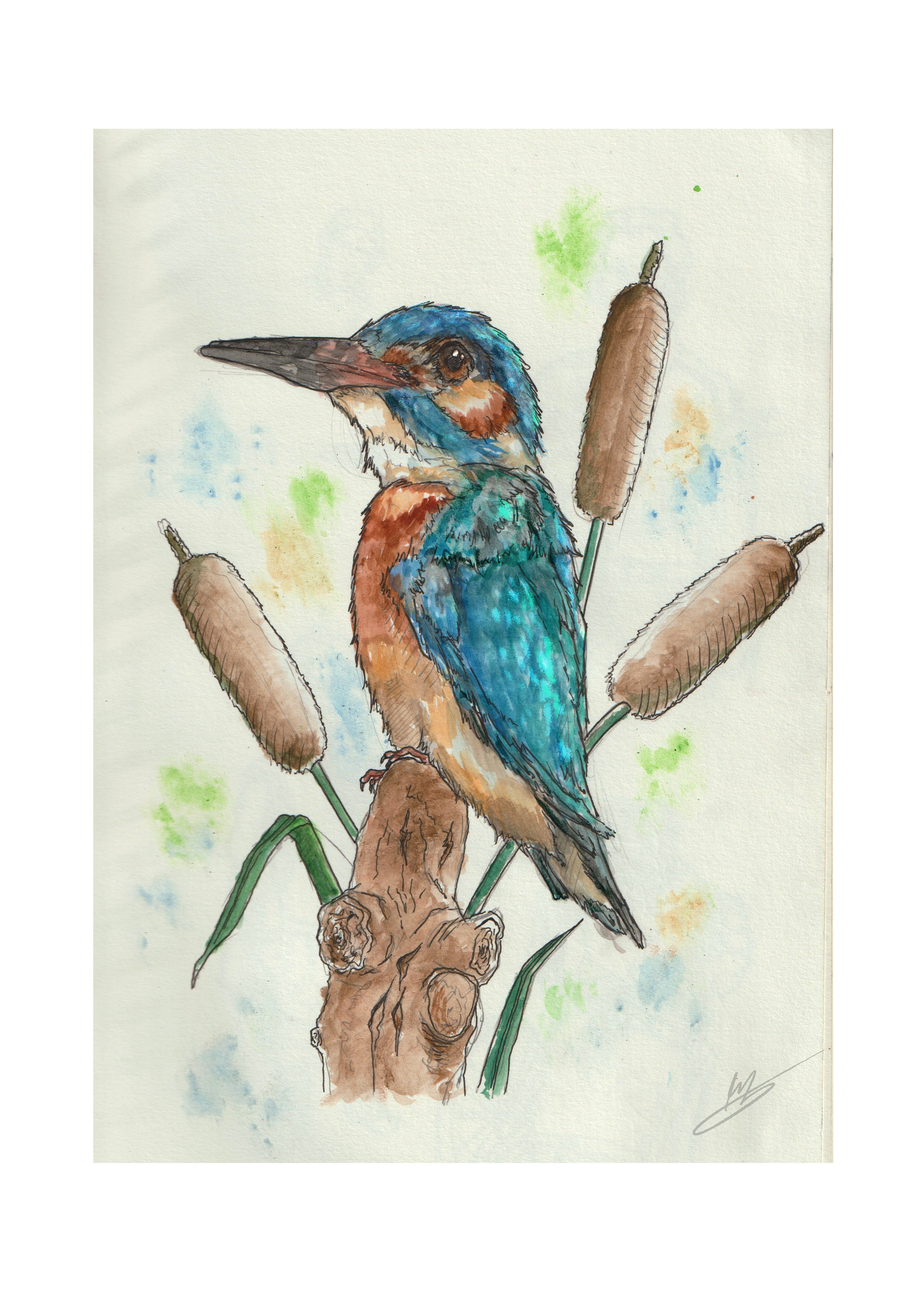 Custom observational drawing