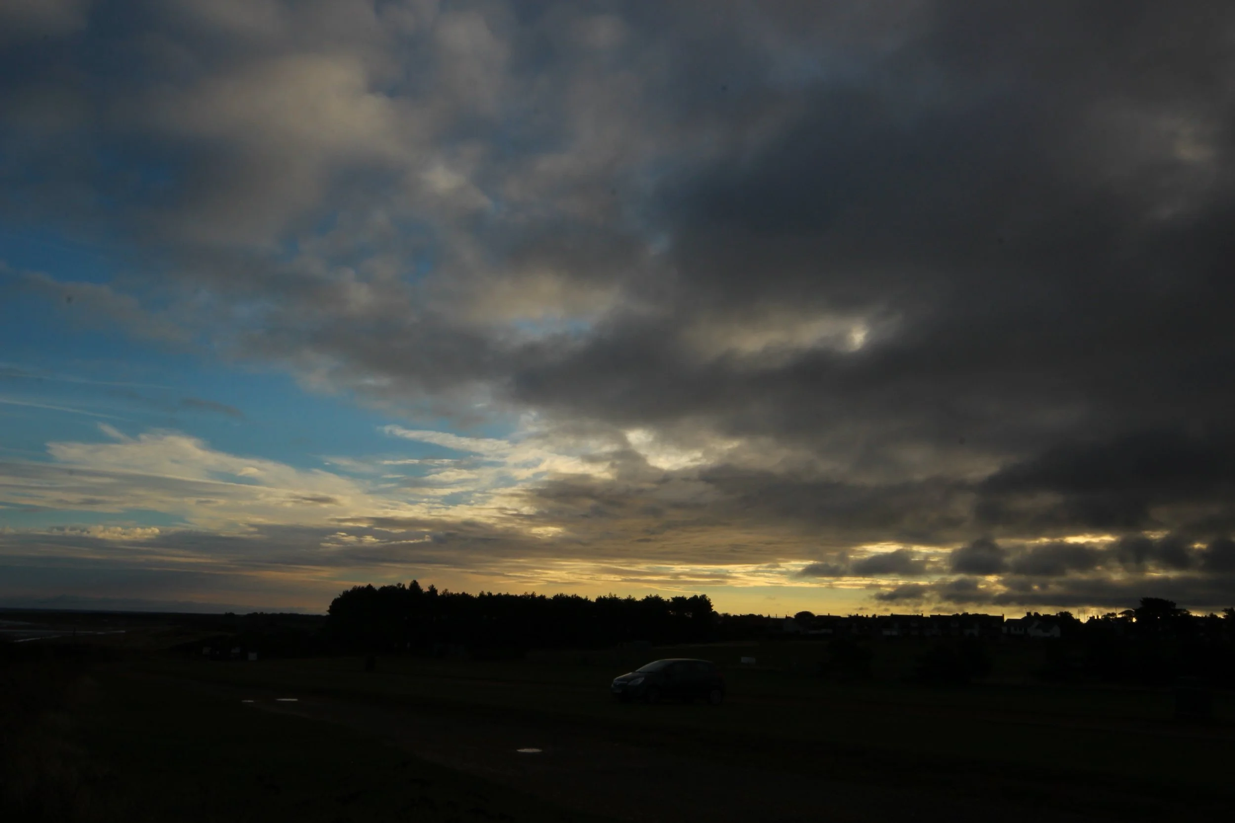 IMG_4384.jpg
