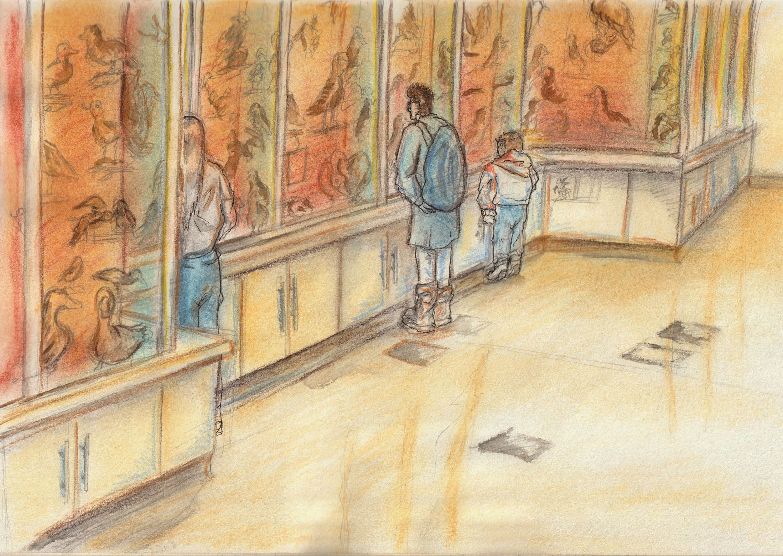 Birds room.jpg