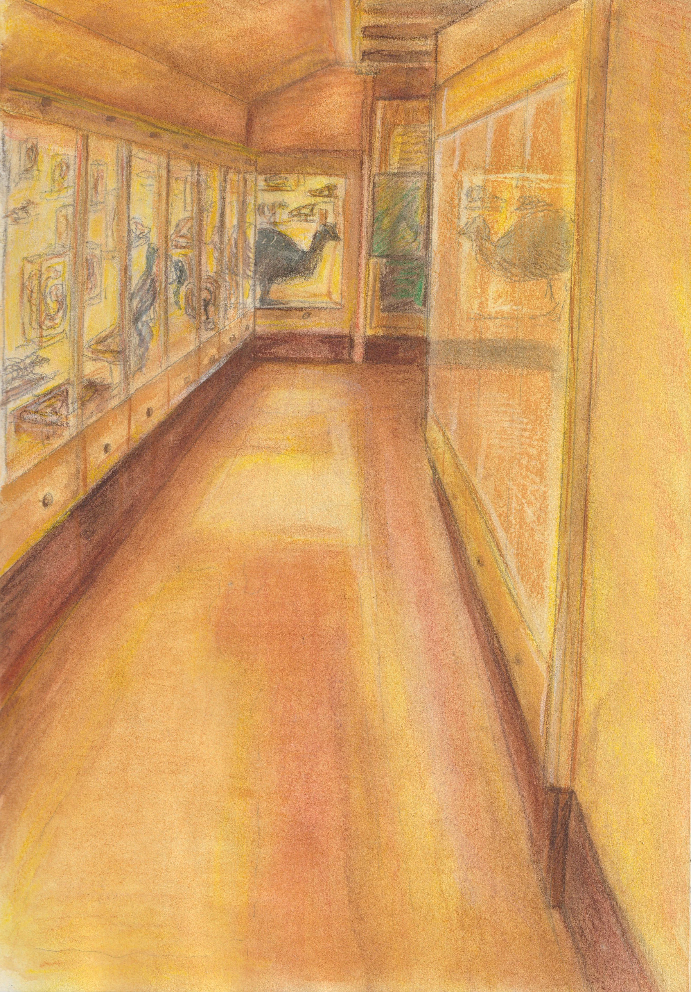 Corridor.jpg