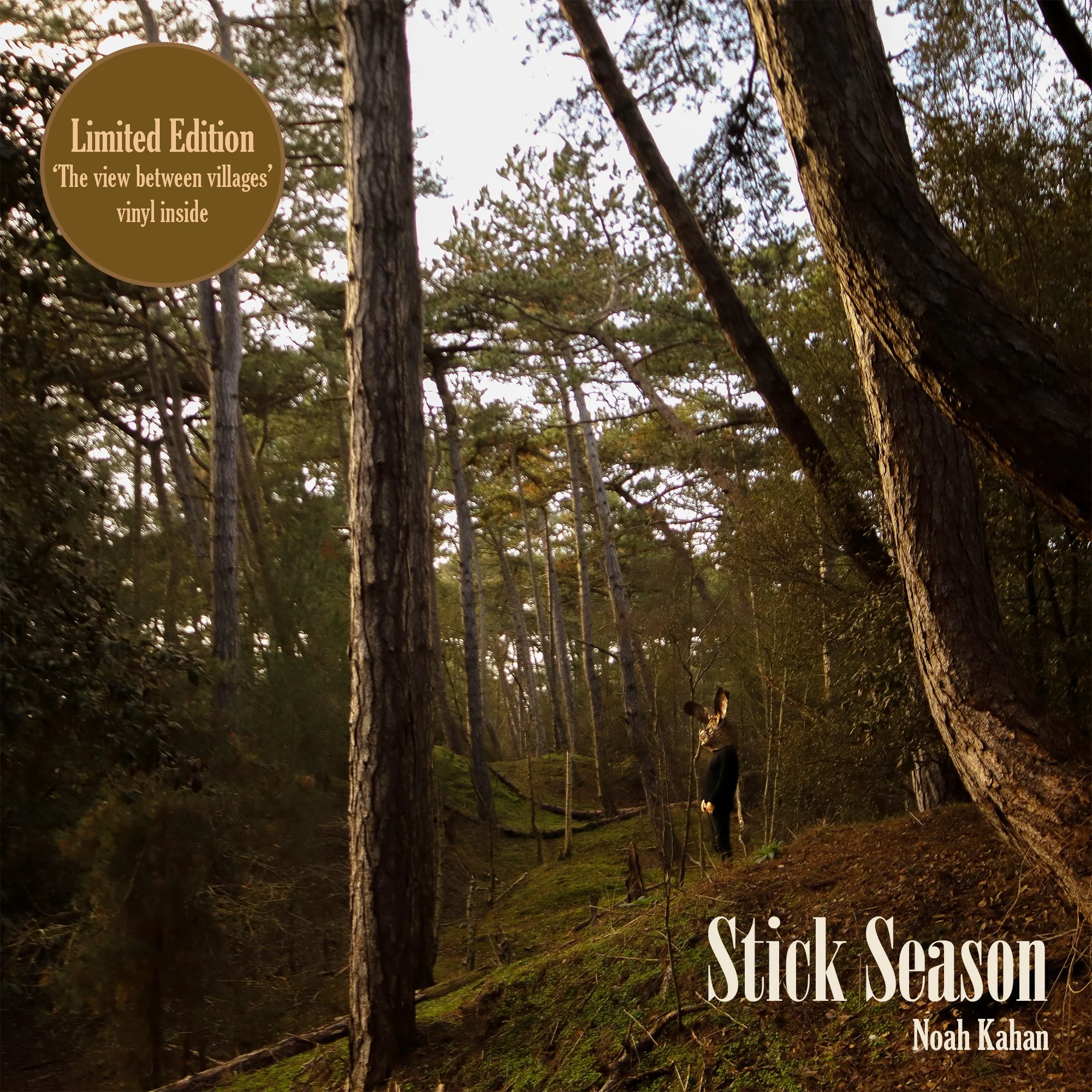 Album cover Noah Kahan.jpg