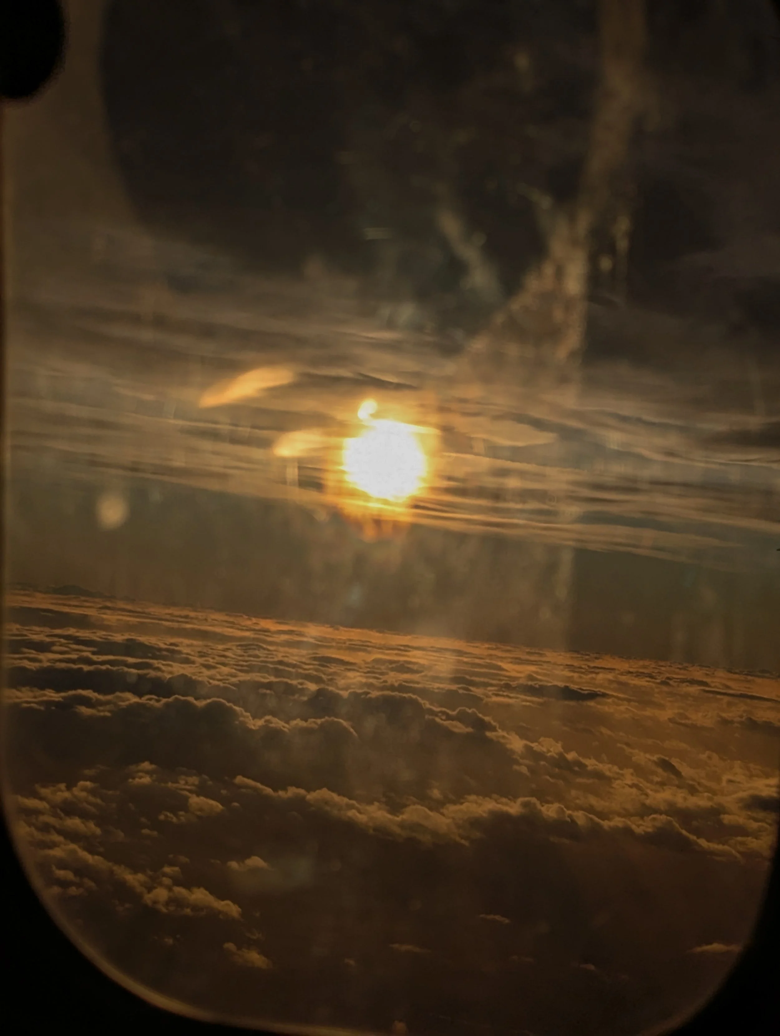 PXL_20251004_170643311.MP.jpg