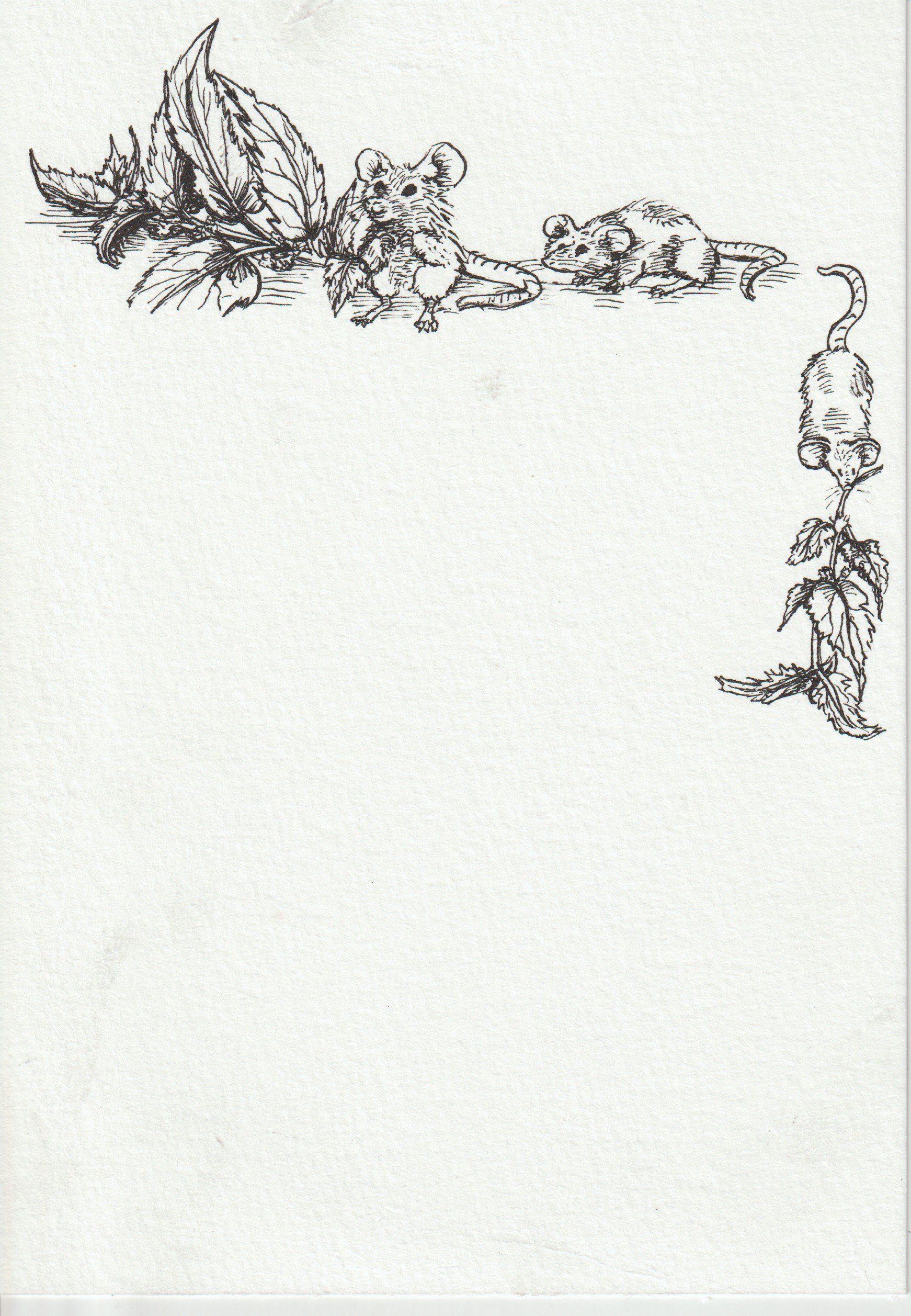 Scan_20260418 (2).jpg