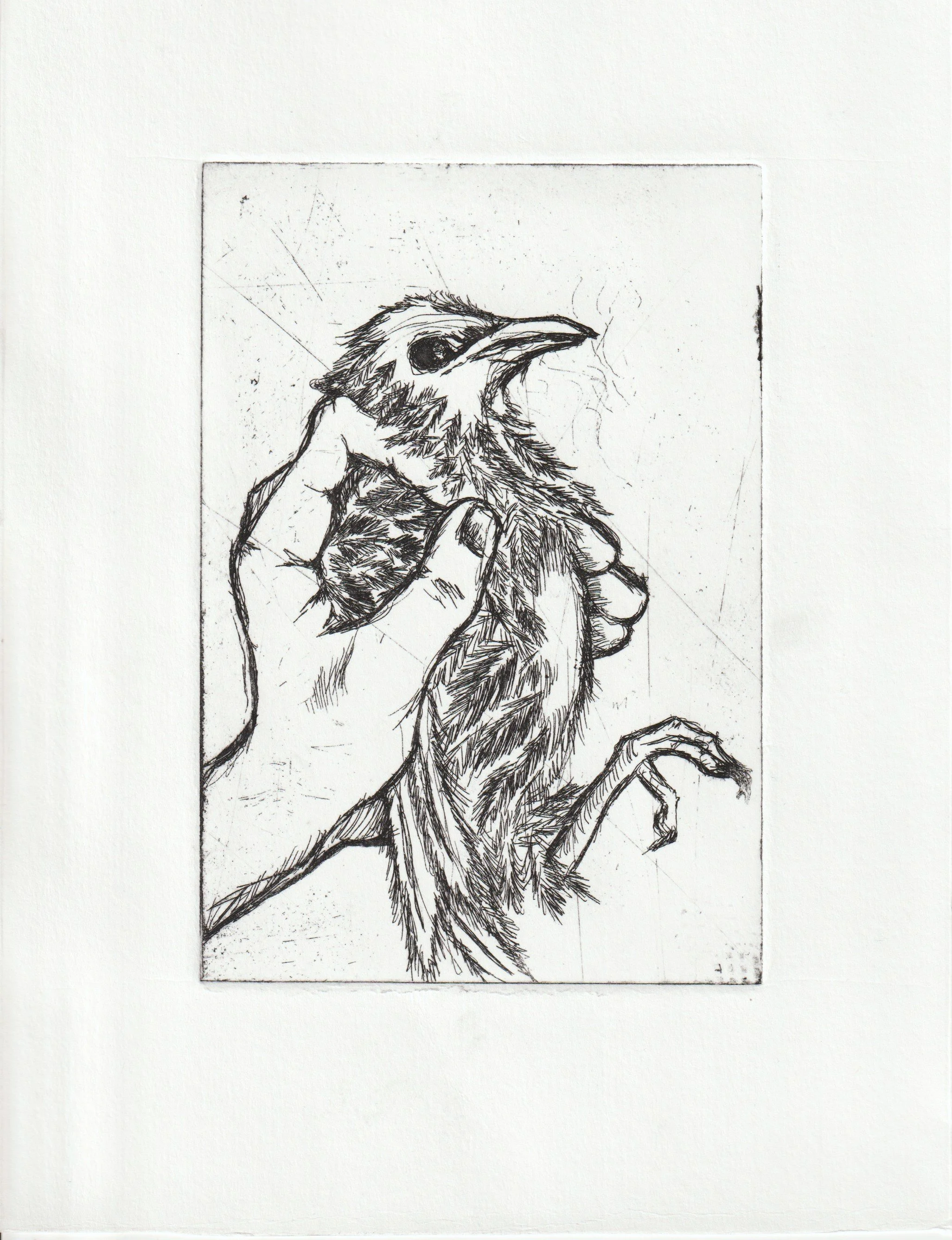 Scan_20260407 (5).jpg