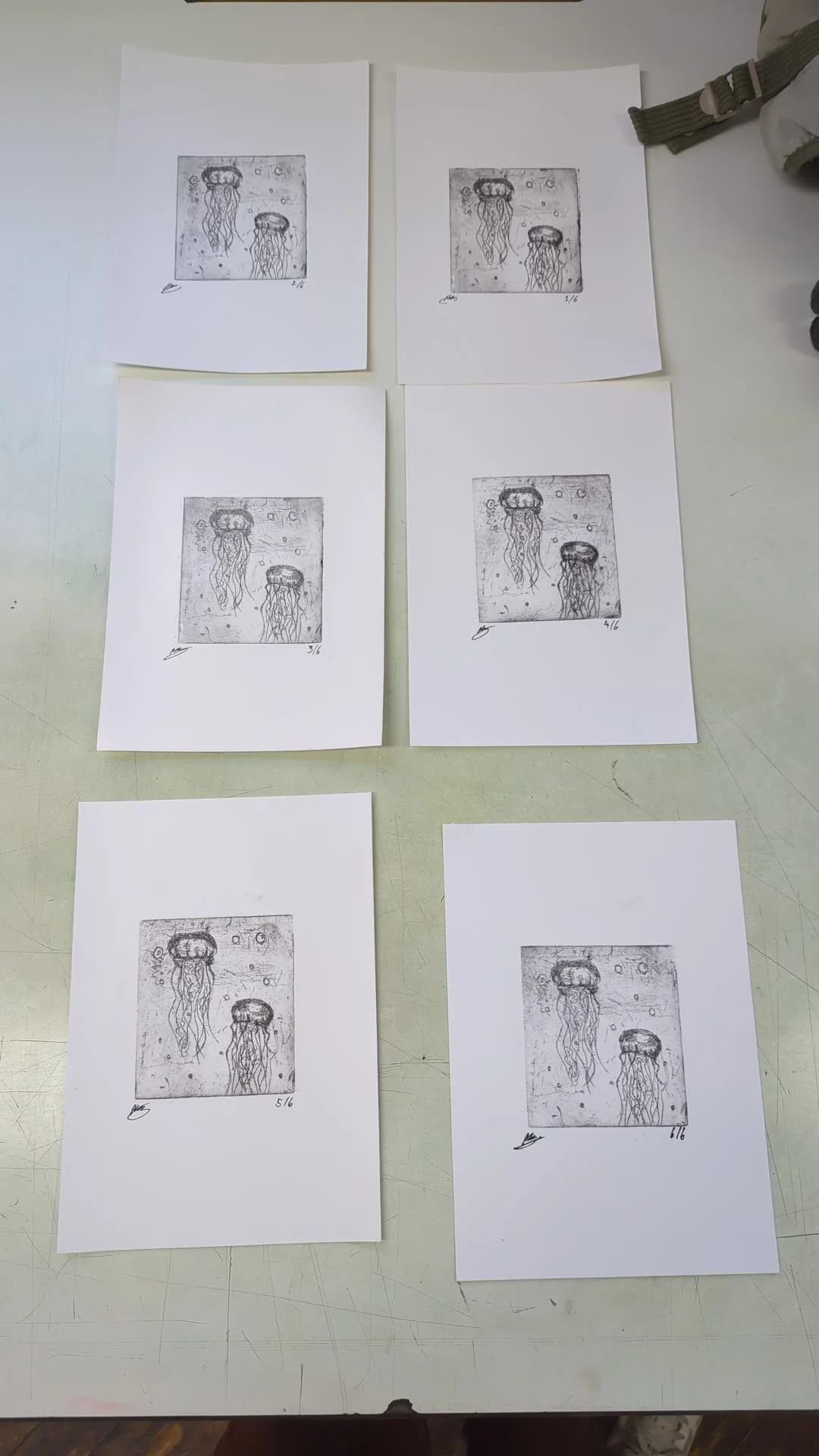 Jellyfish etching.jpg