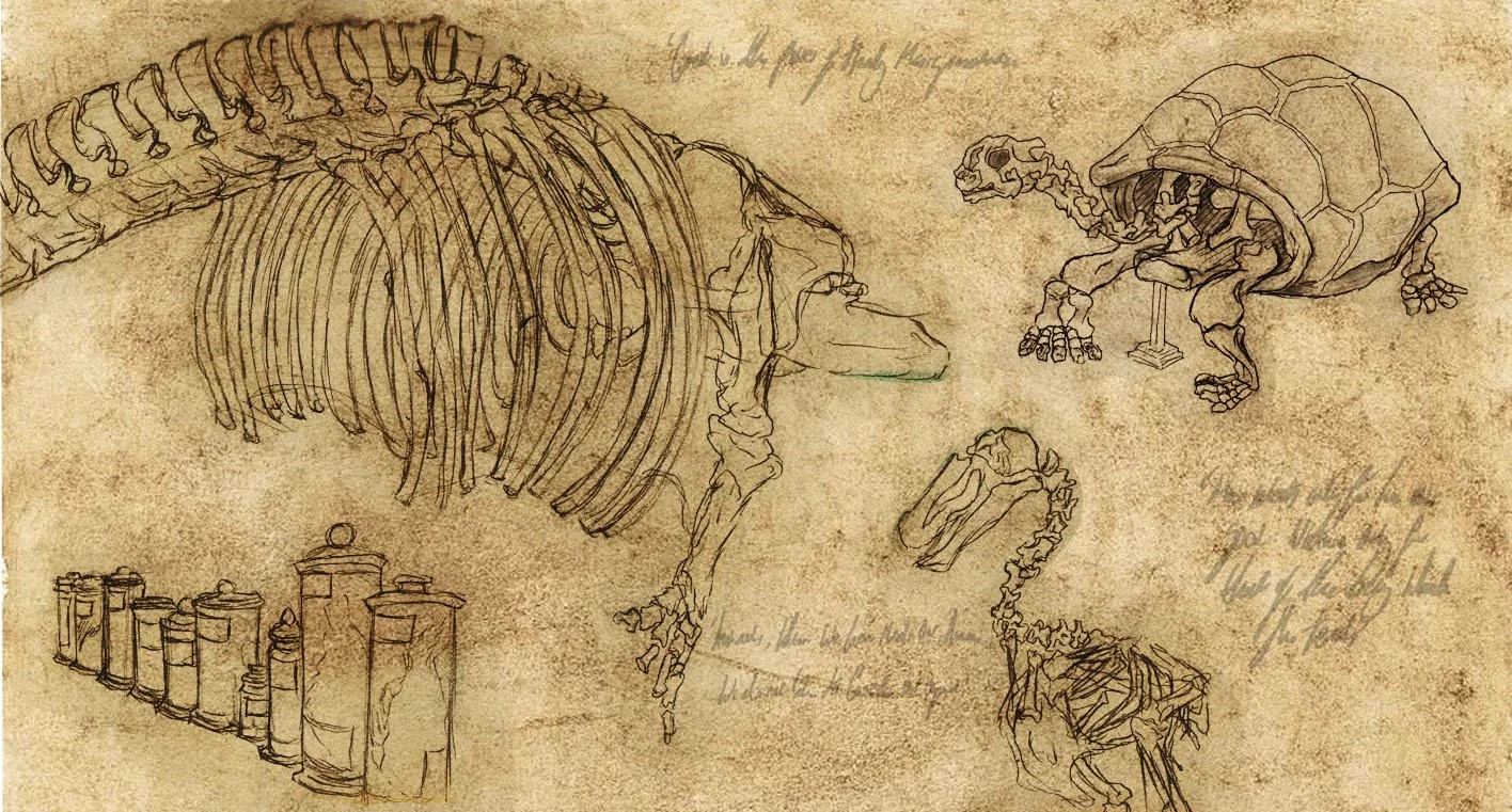 fig_white_awallofclimbingivy97_zoologymuseum004.jpg