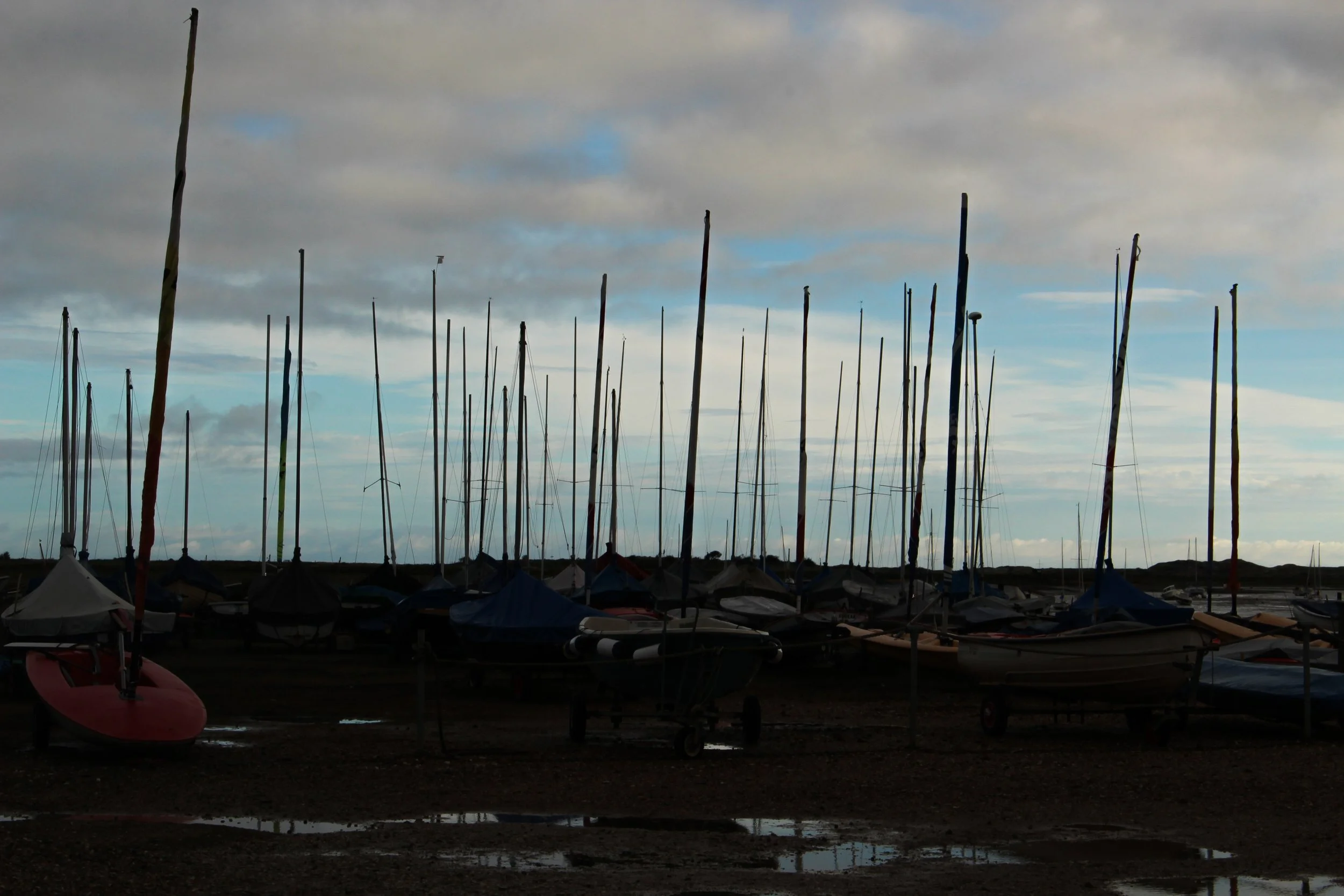 IMG_4397.jpg