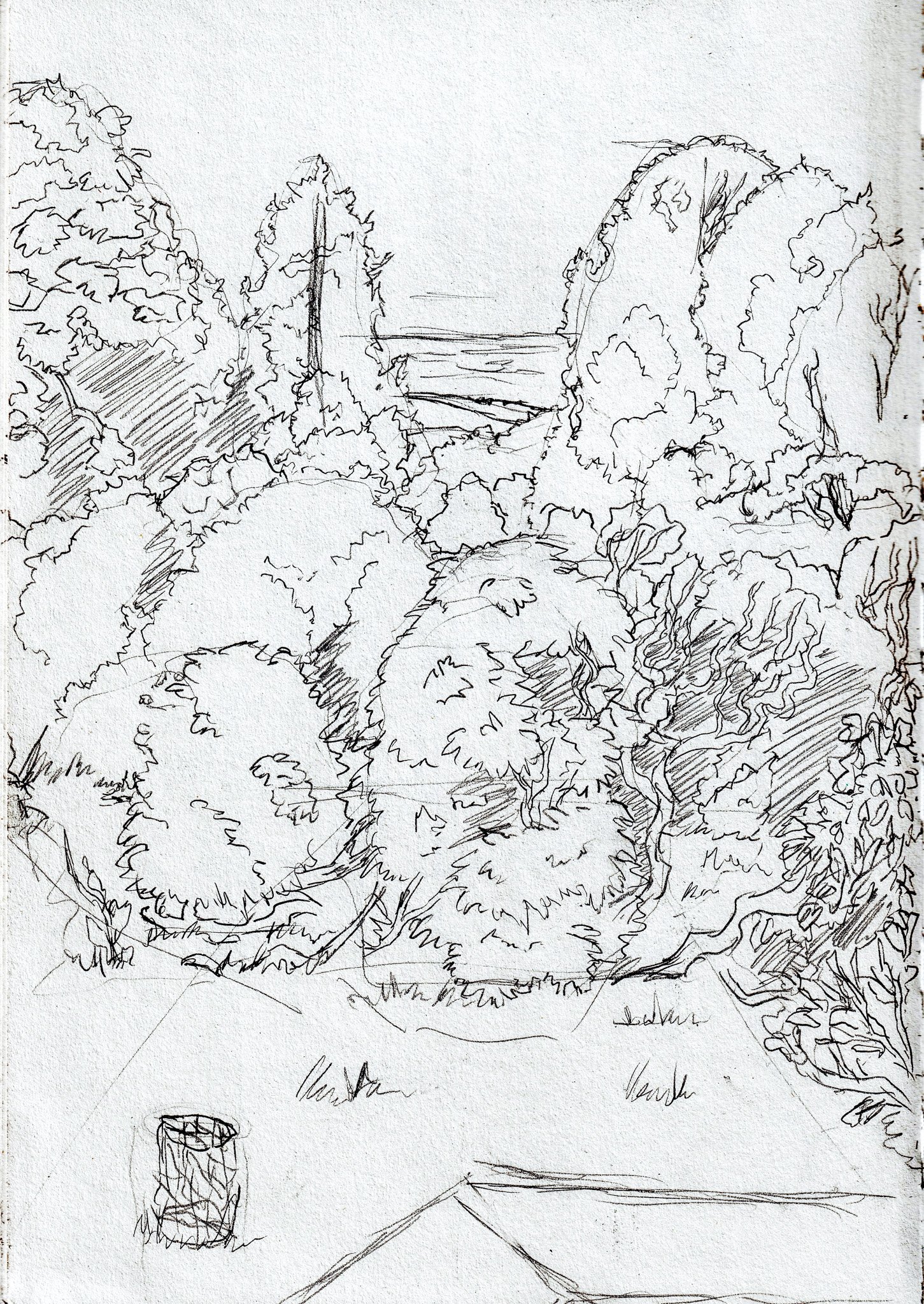Sheringham park sketch-2.jpg