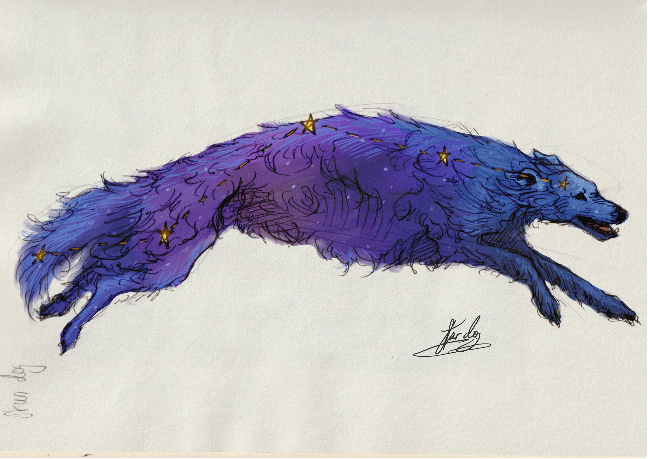 star dog.jpg