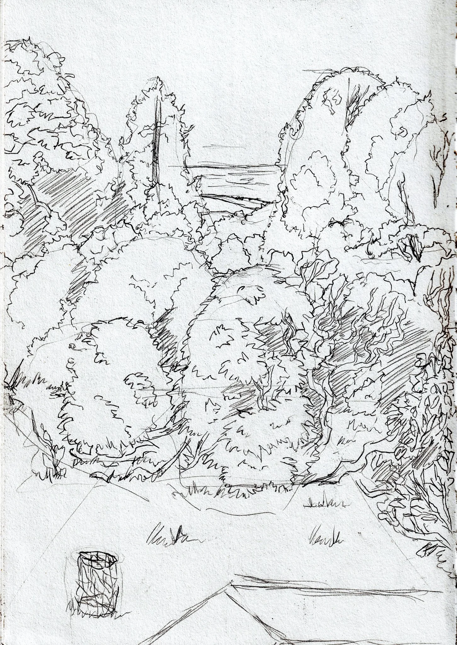 Sheringham park sketch-2.jpg